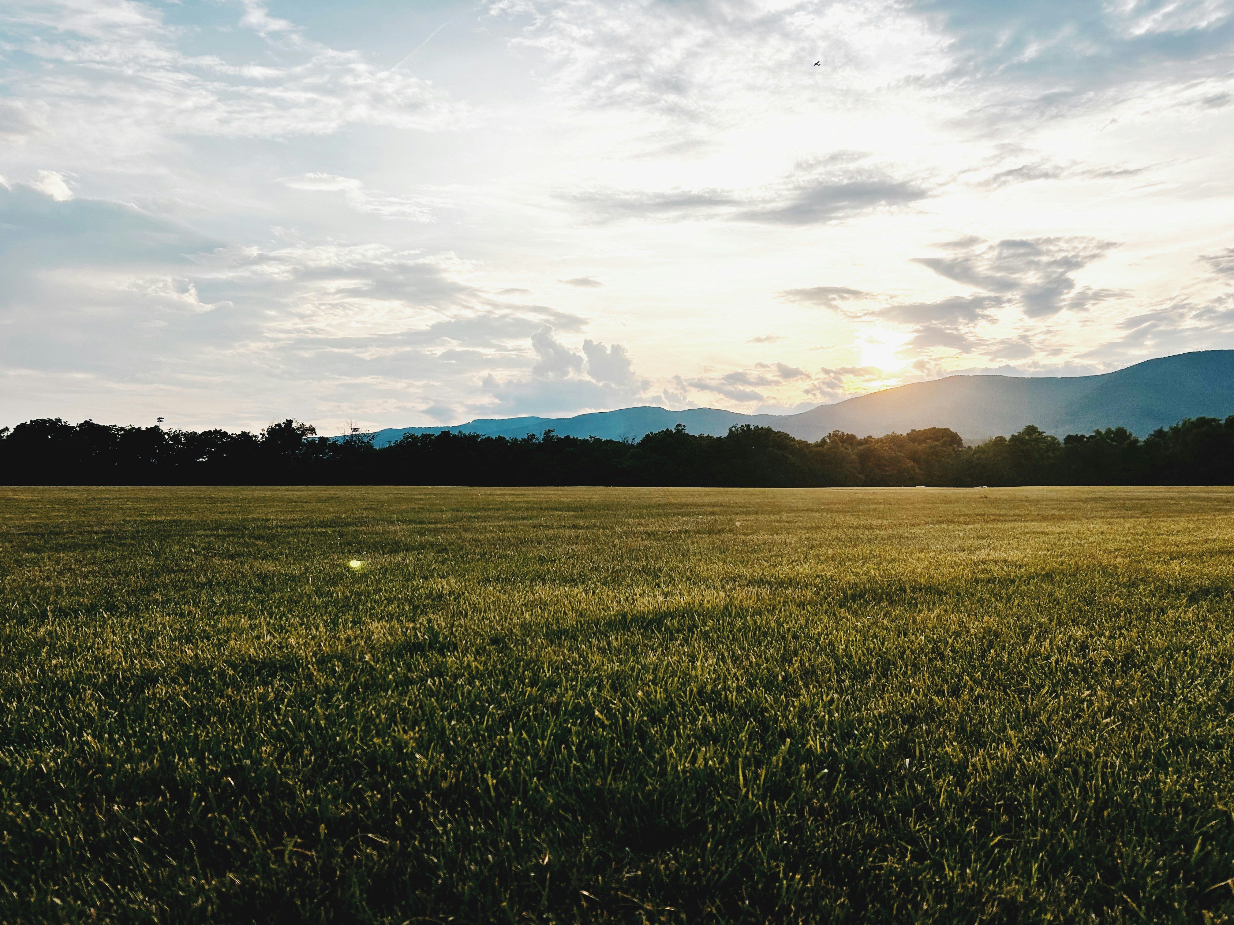 Photo by adialinkous