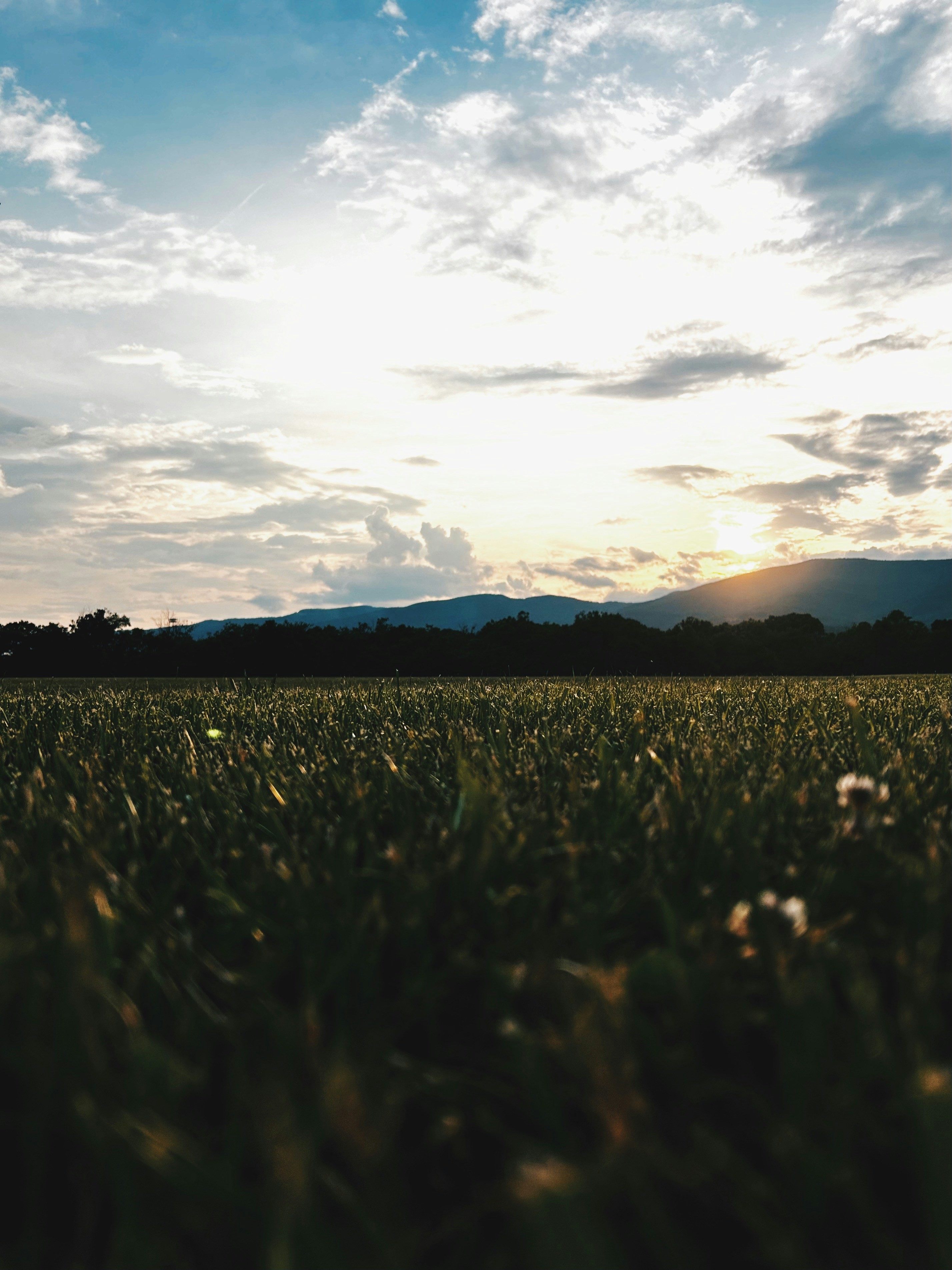 Photo by adialinkous