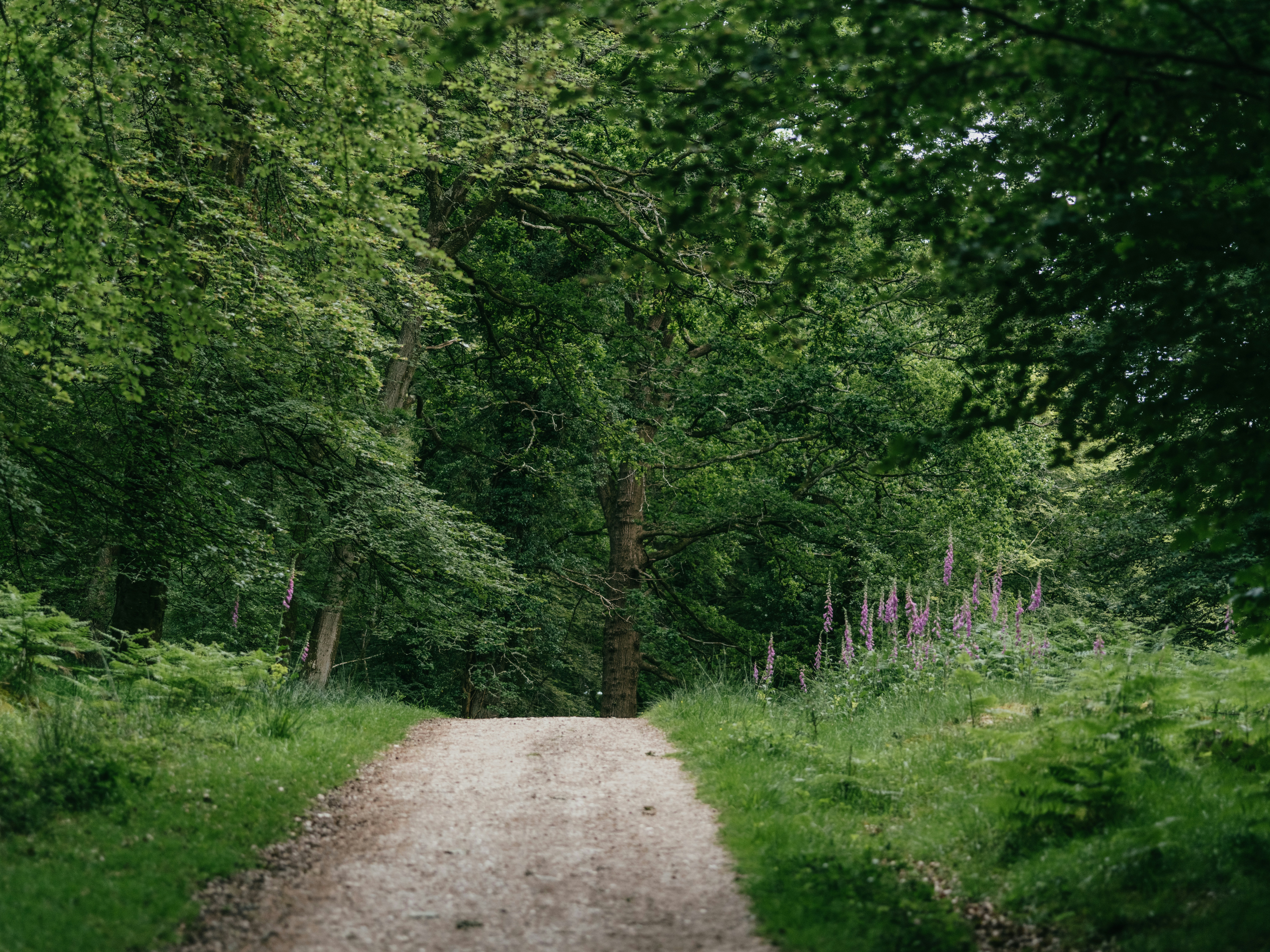 Photo by anniespratt