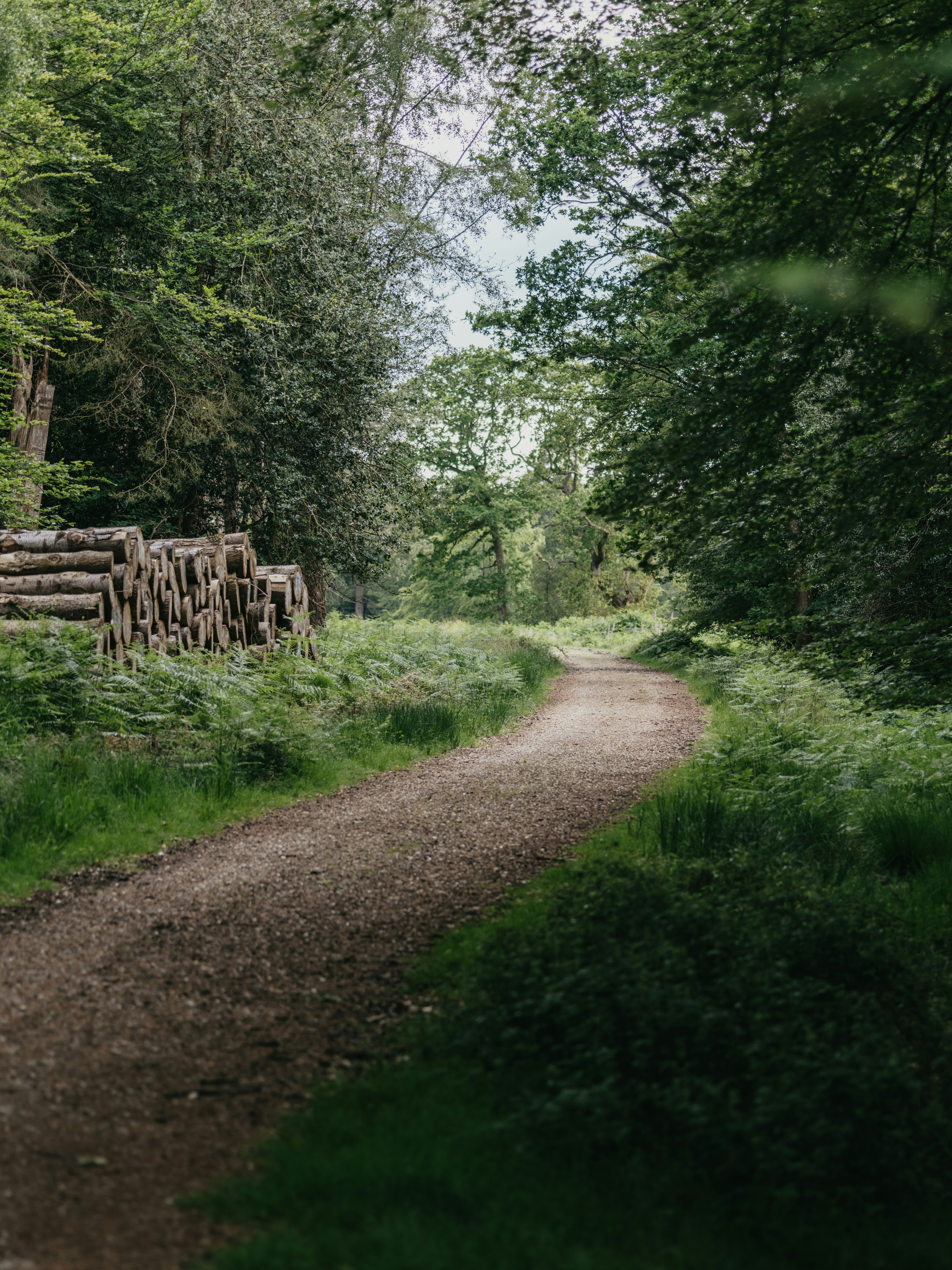 Photo by anniespratt