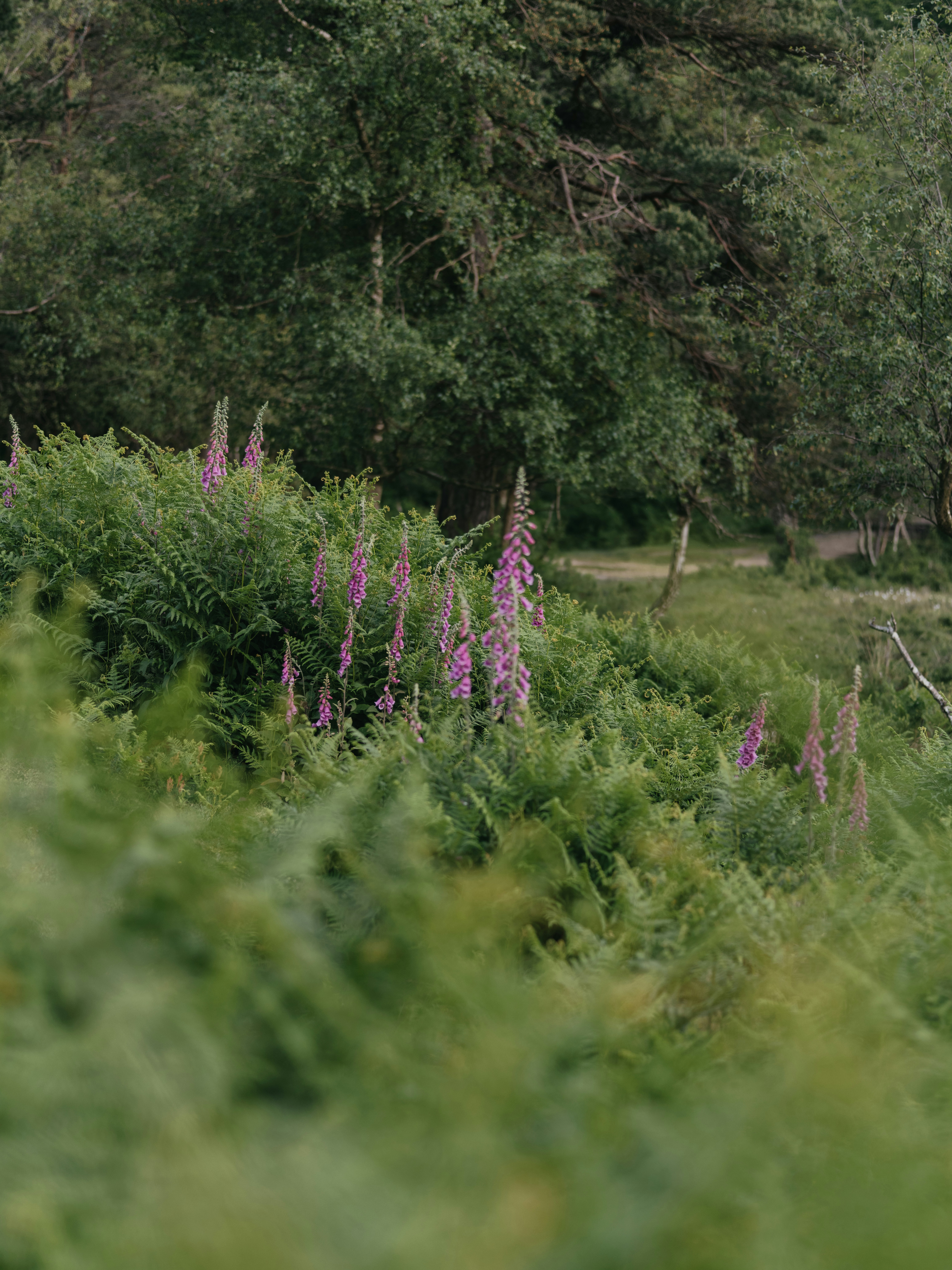 Photo by anniespratt