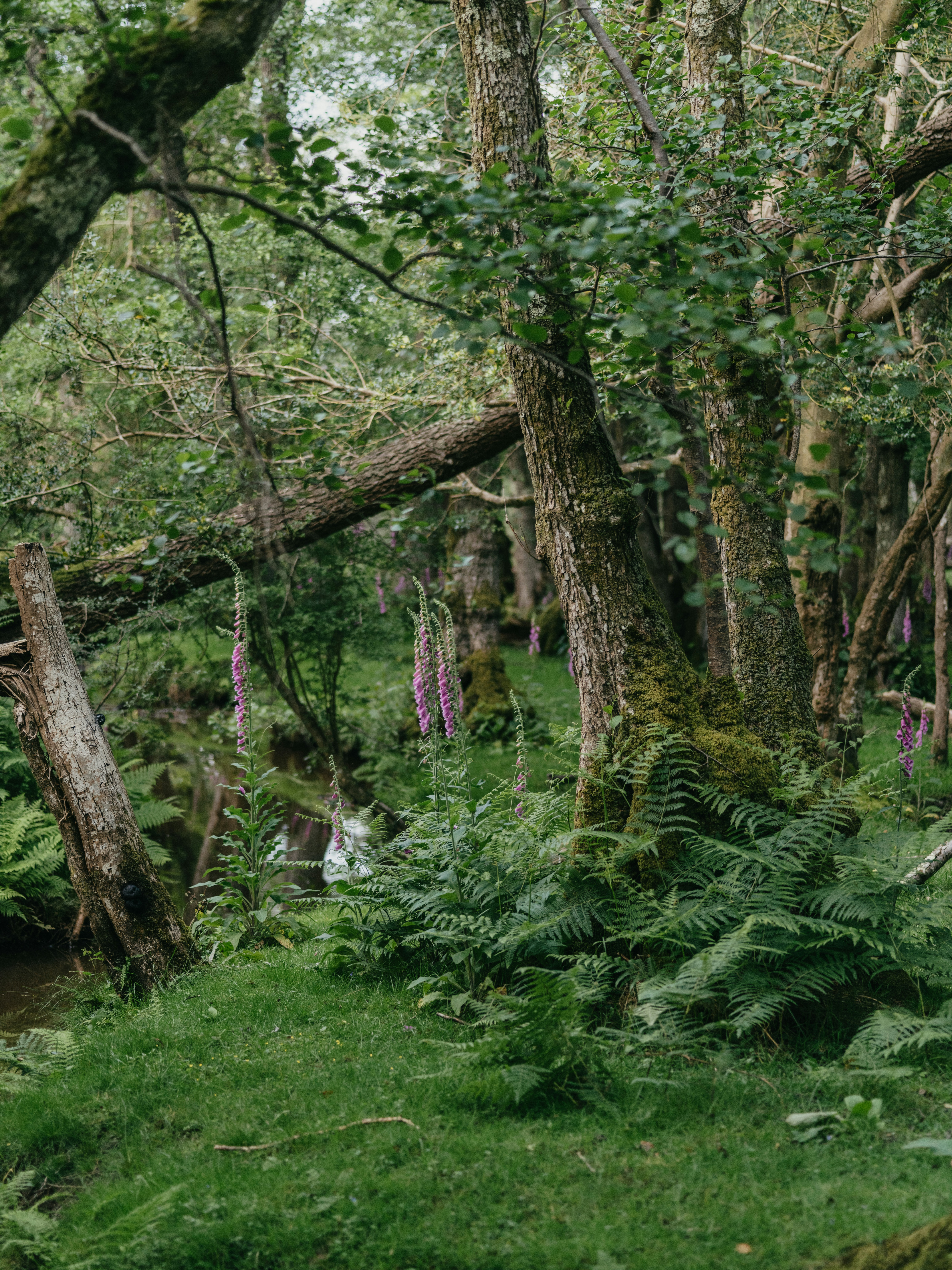 Photo by anniespratt