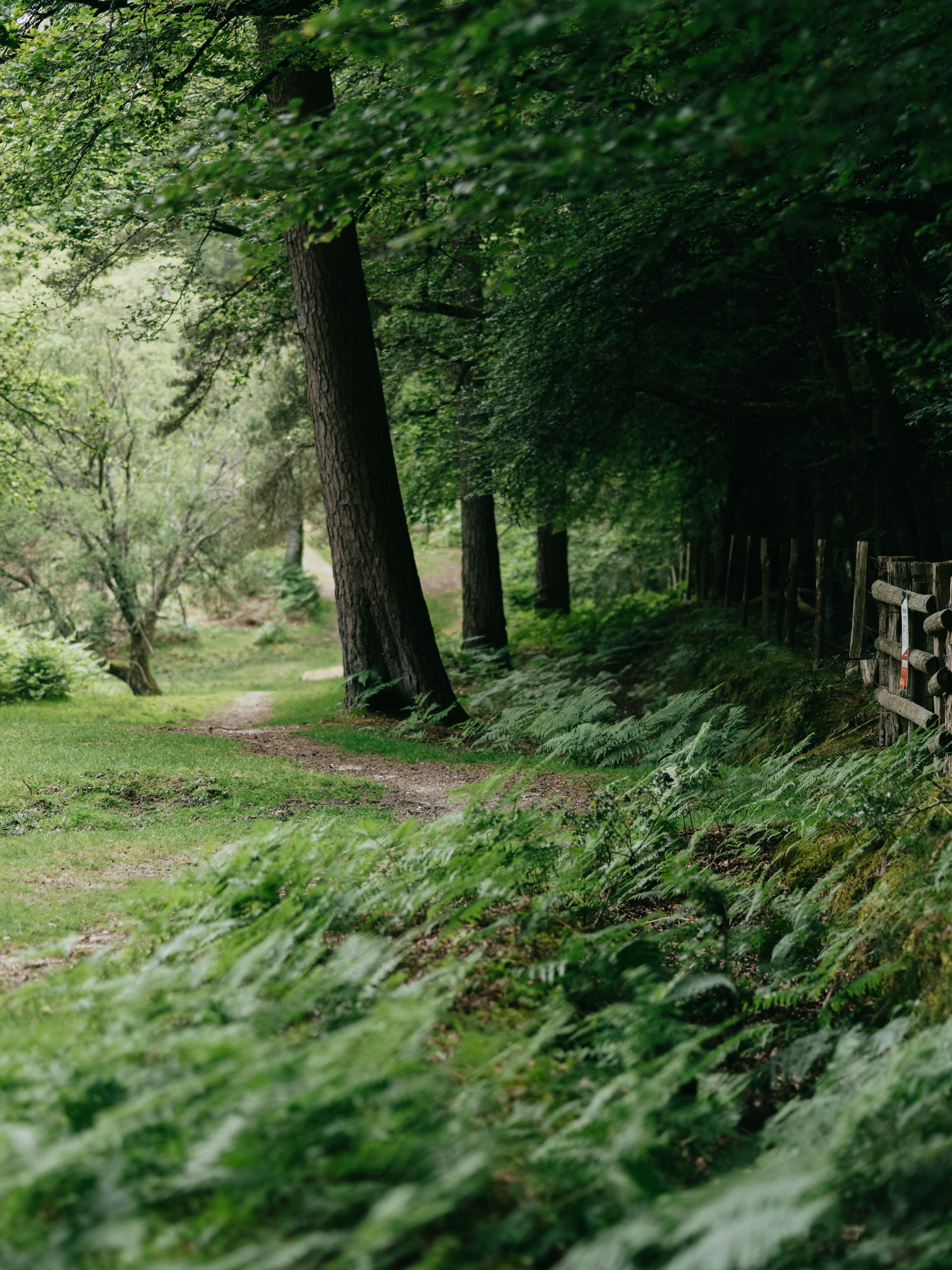 Photo by anniespratt