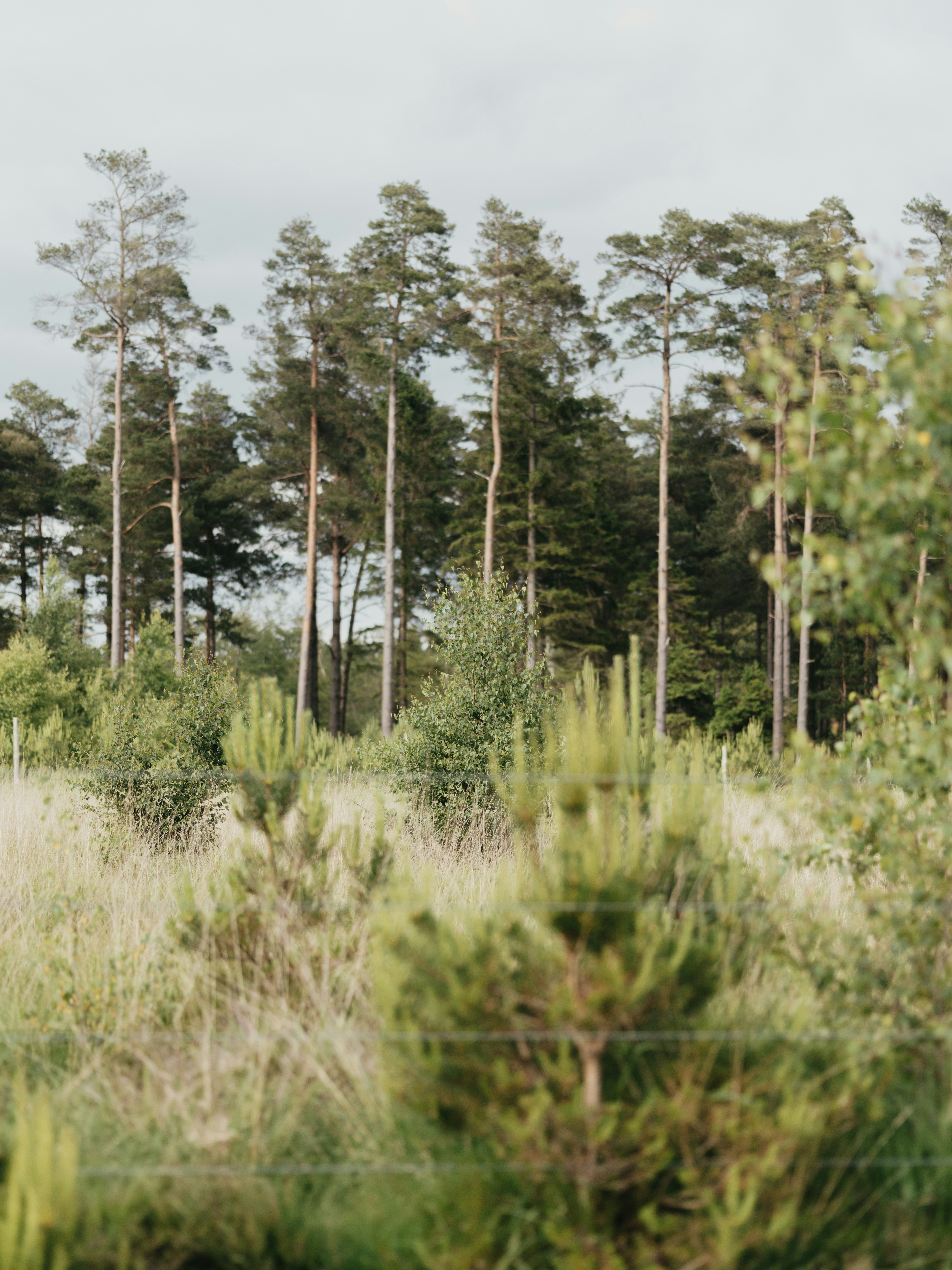 Photo by anniespratt