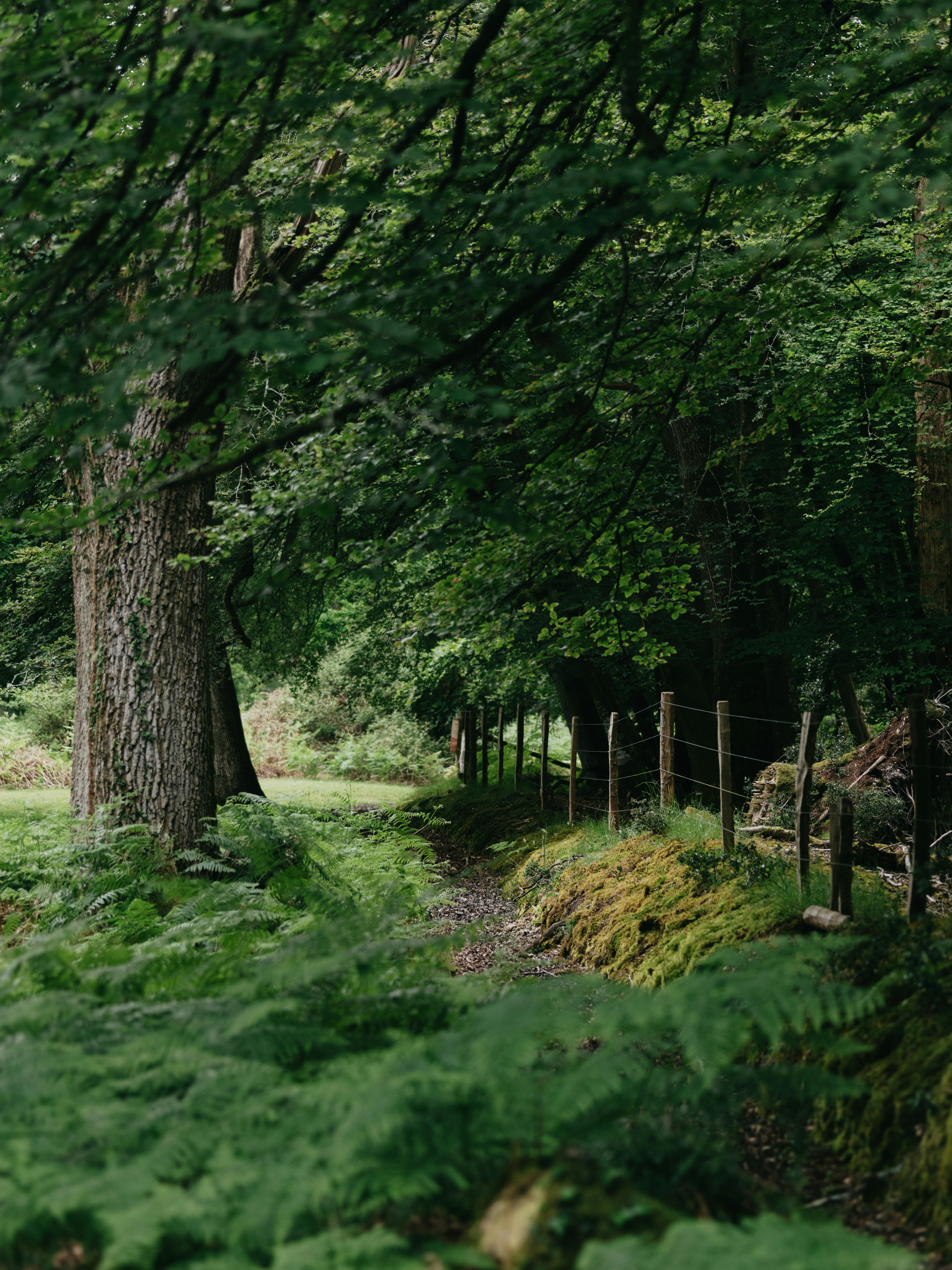 Photo by anniespratt