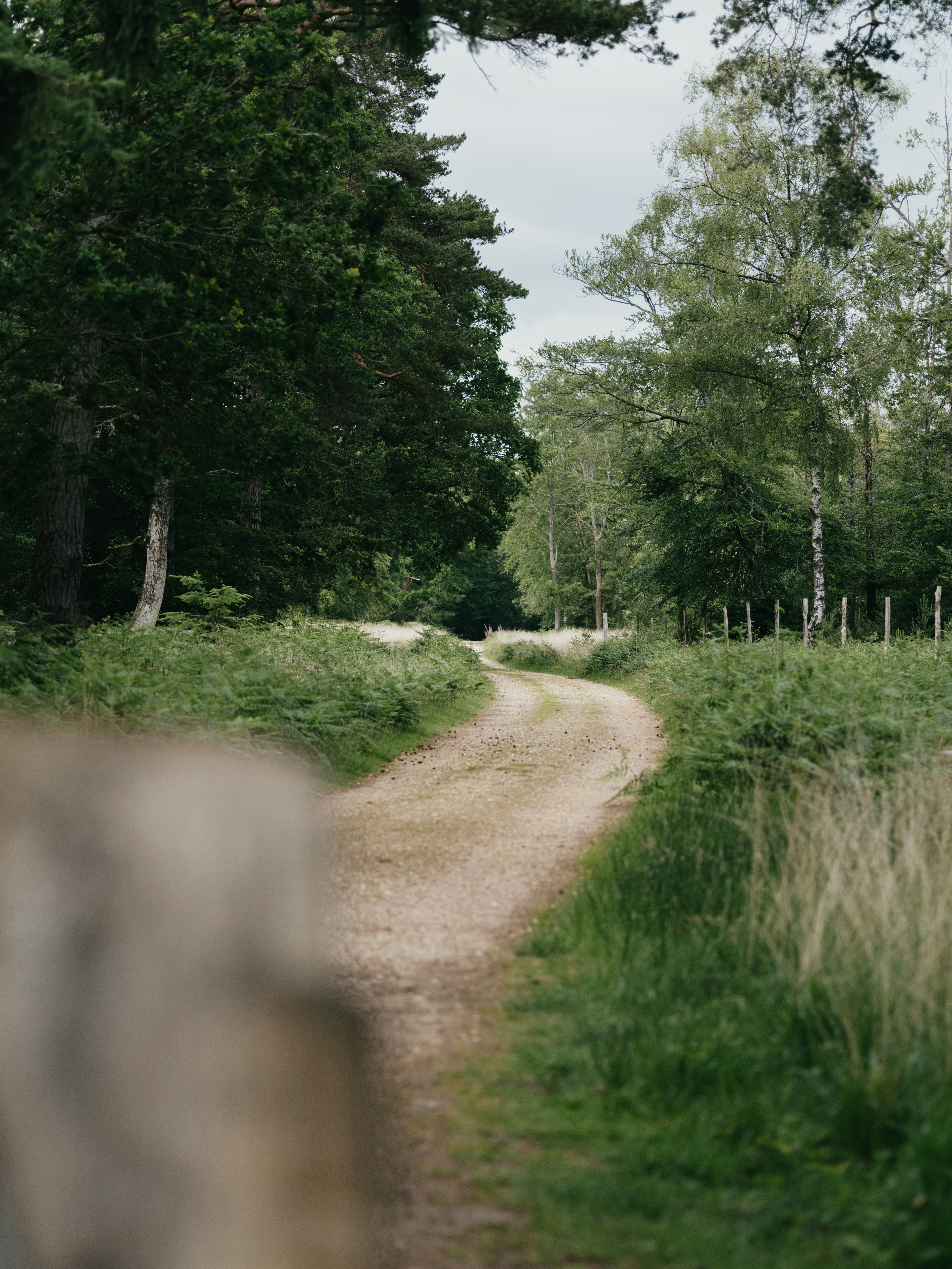 Photo by anniespratt