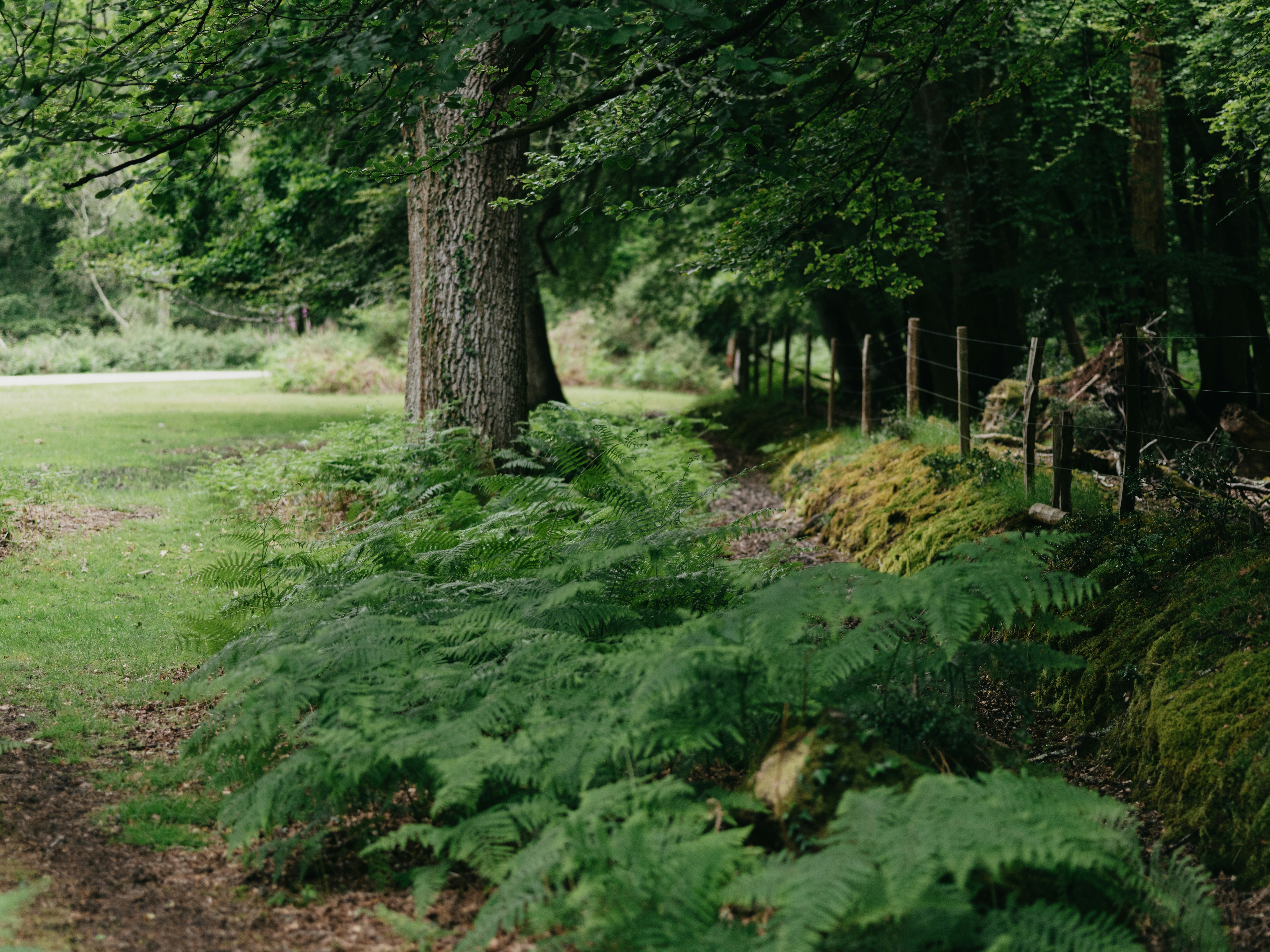 Photo by anniespratt