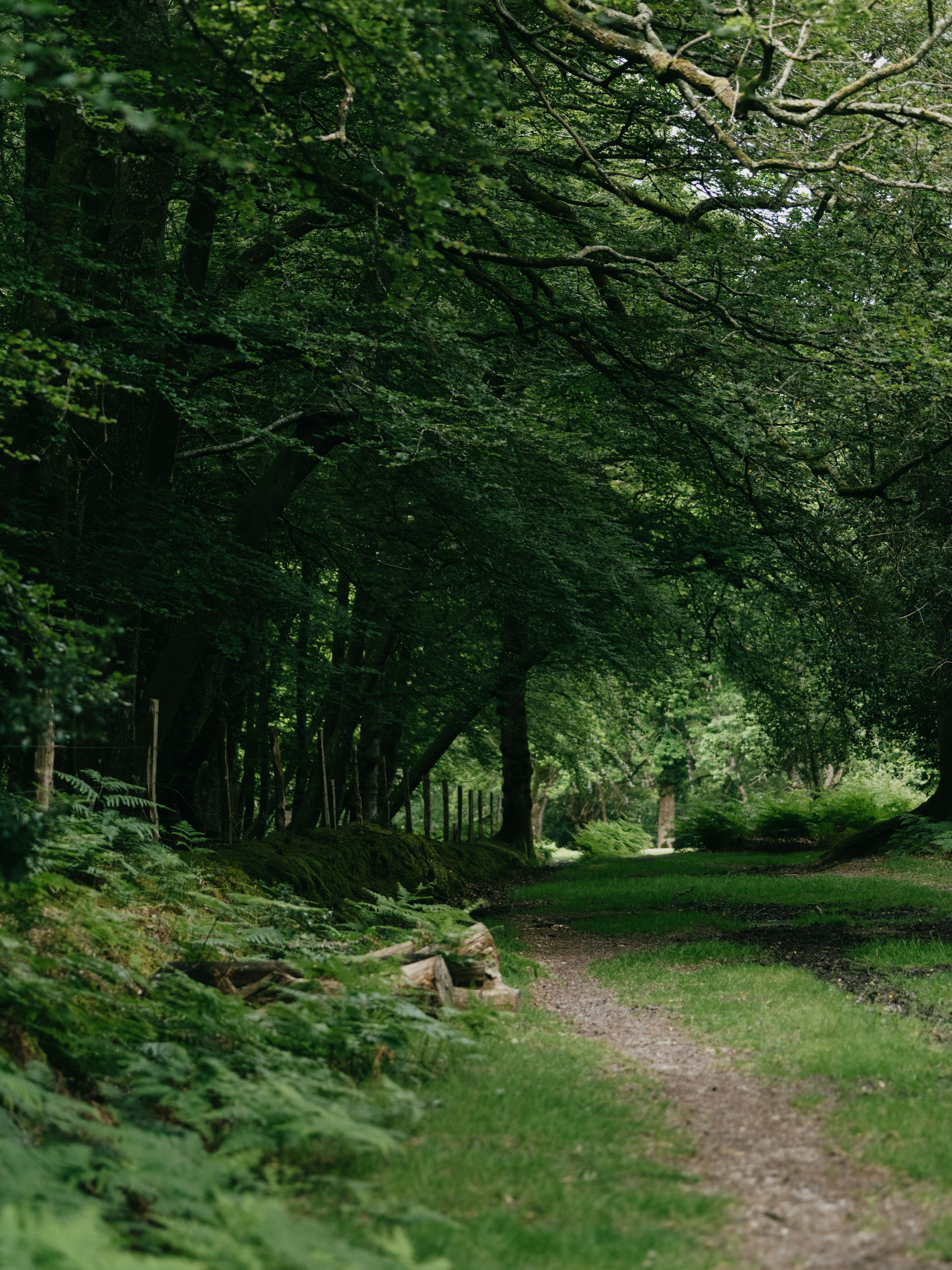 Photo by anniespratt