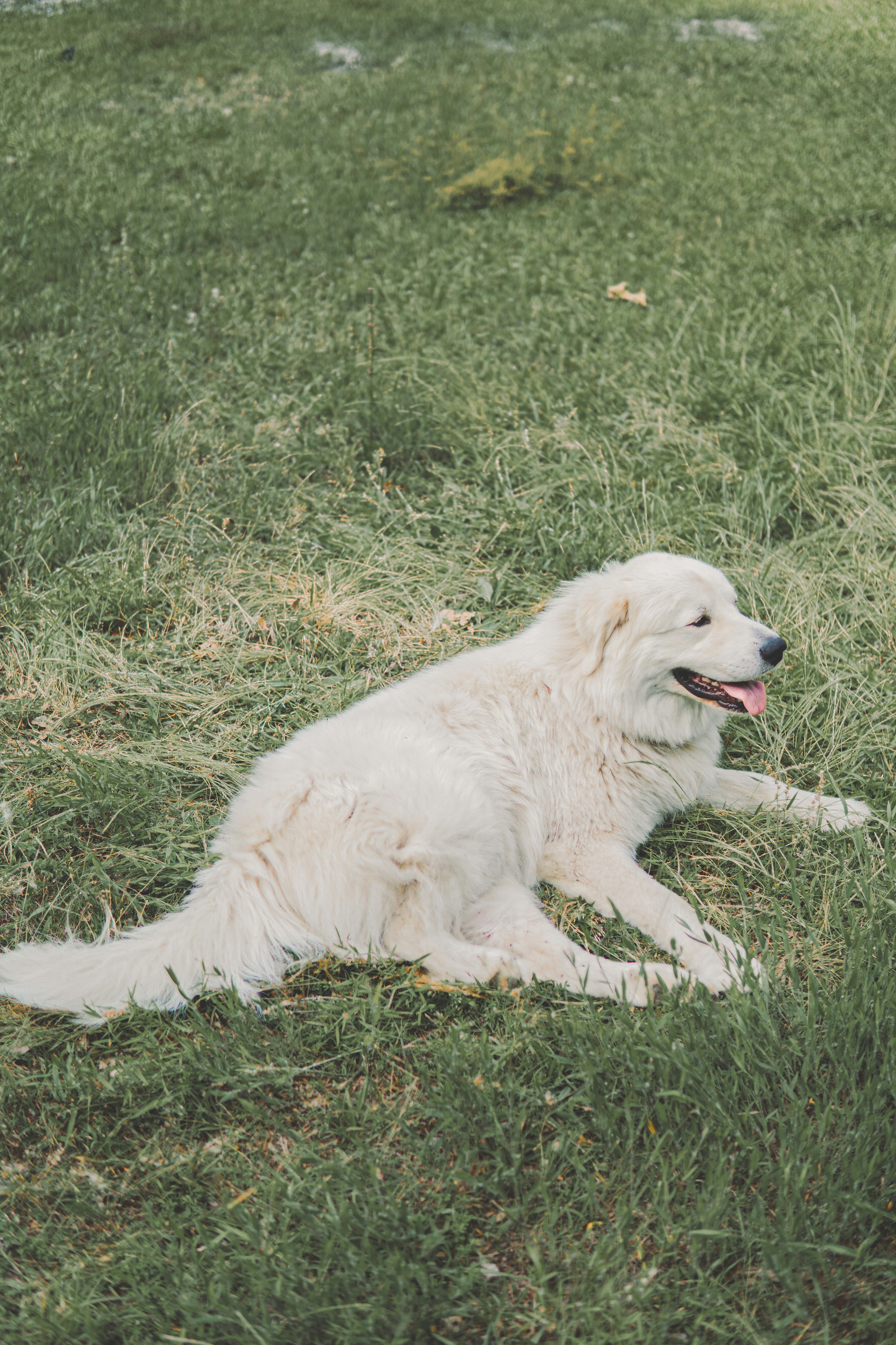 Photo by keepitchassephotography