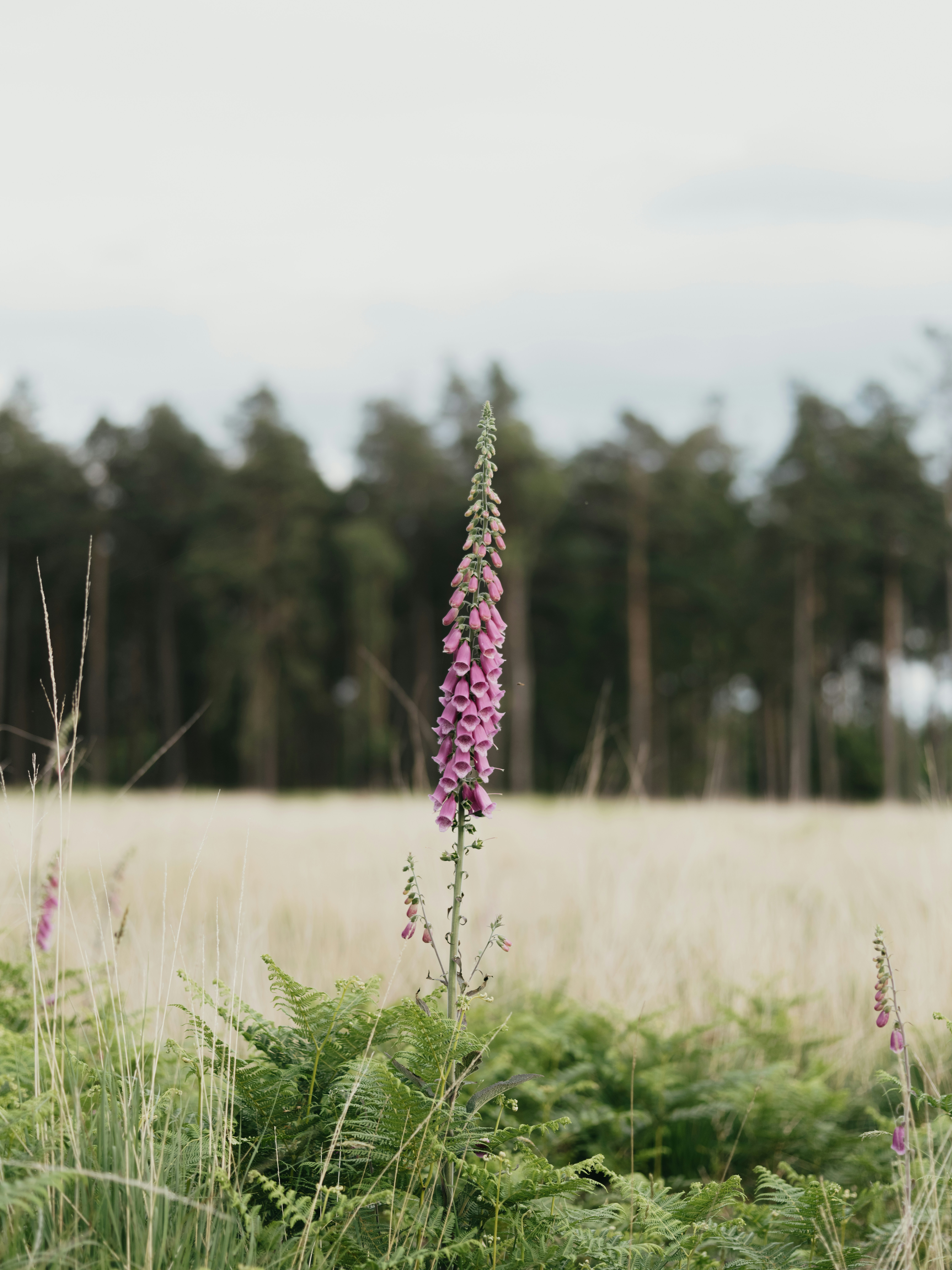 Photo by anniespratt