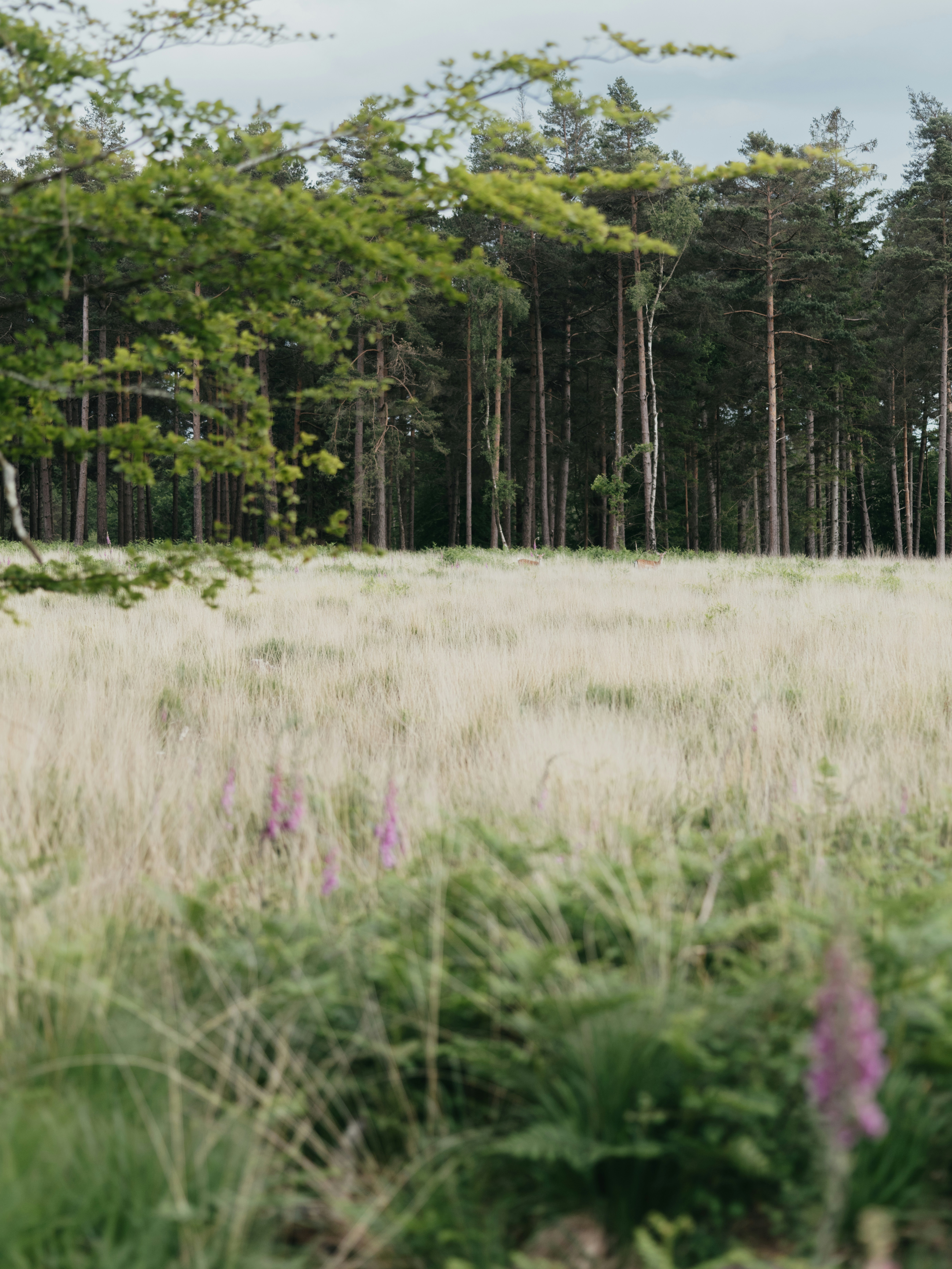 Photo by anniespratt