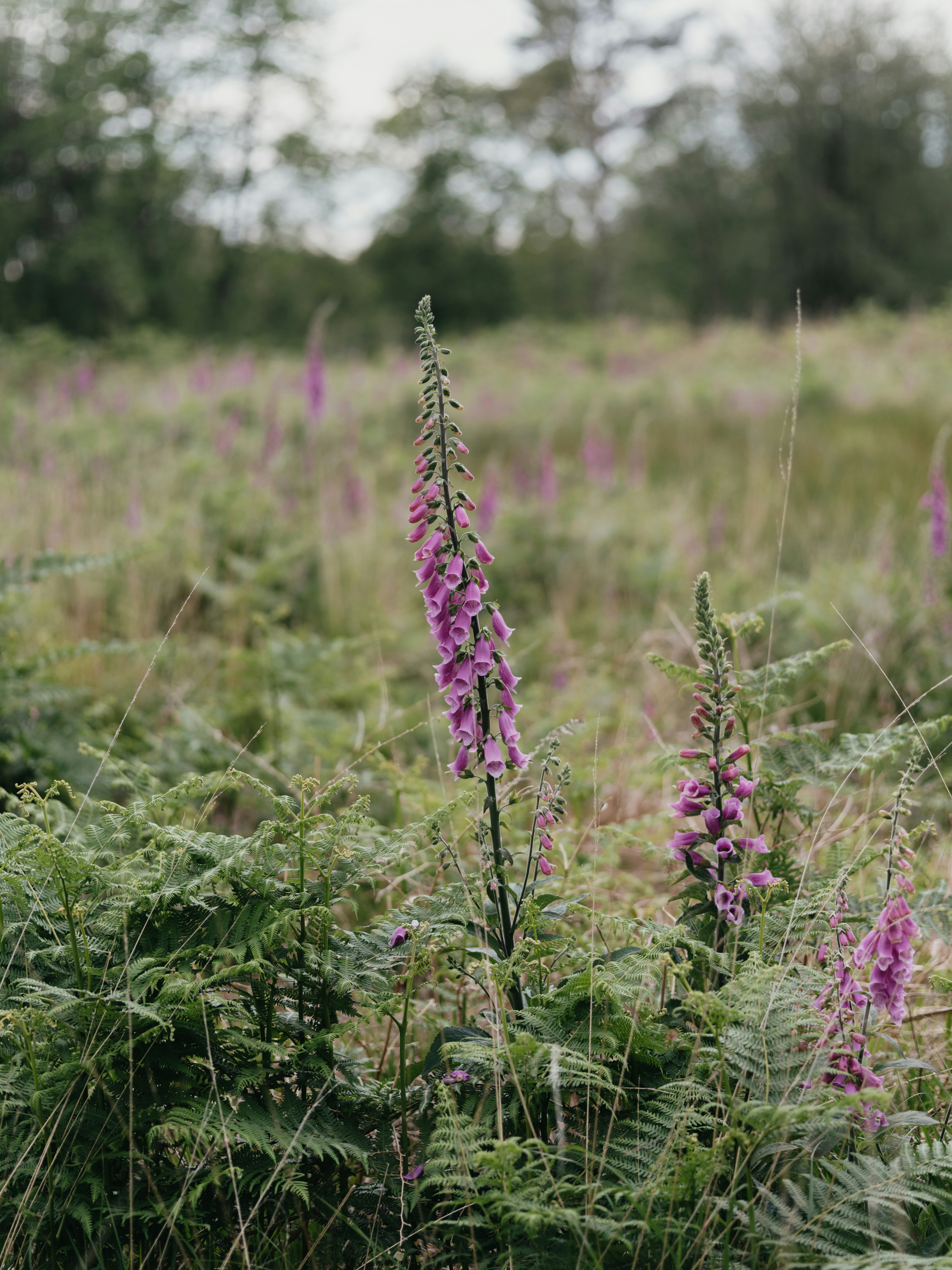 Photo by anniespratt