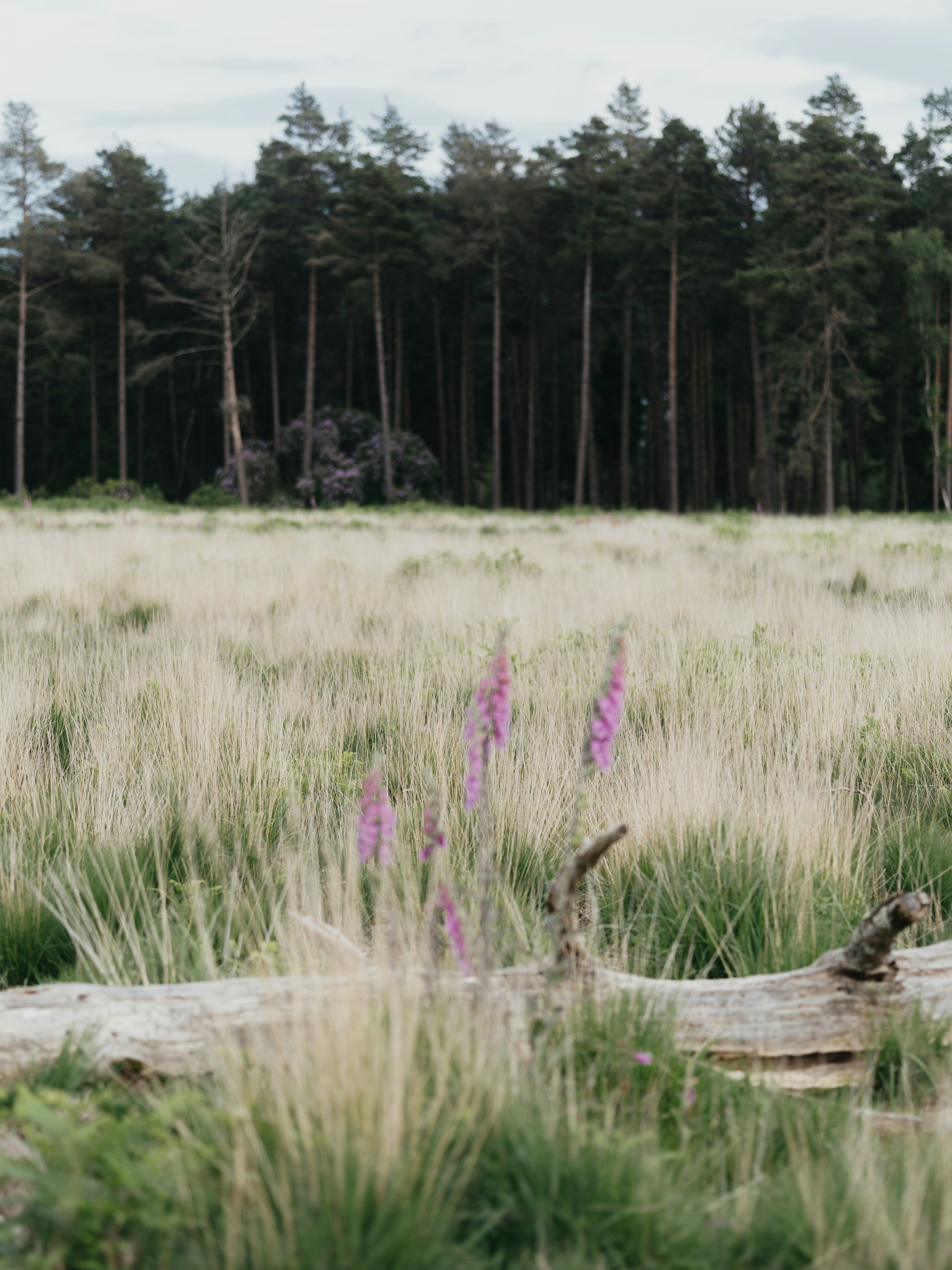 Photo by anniespratt