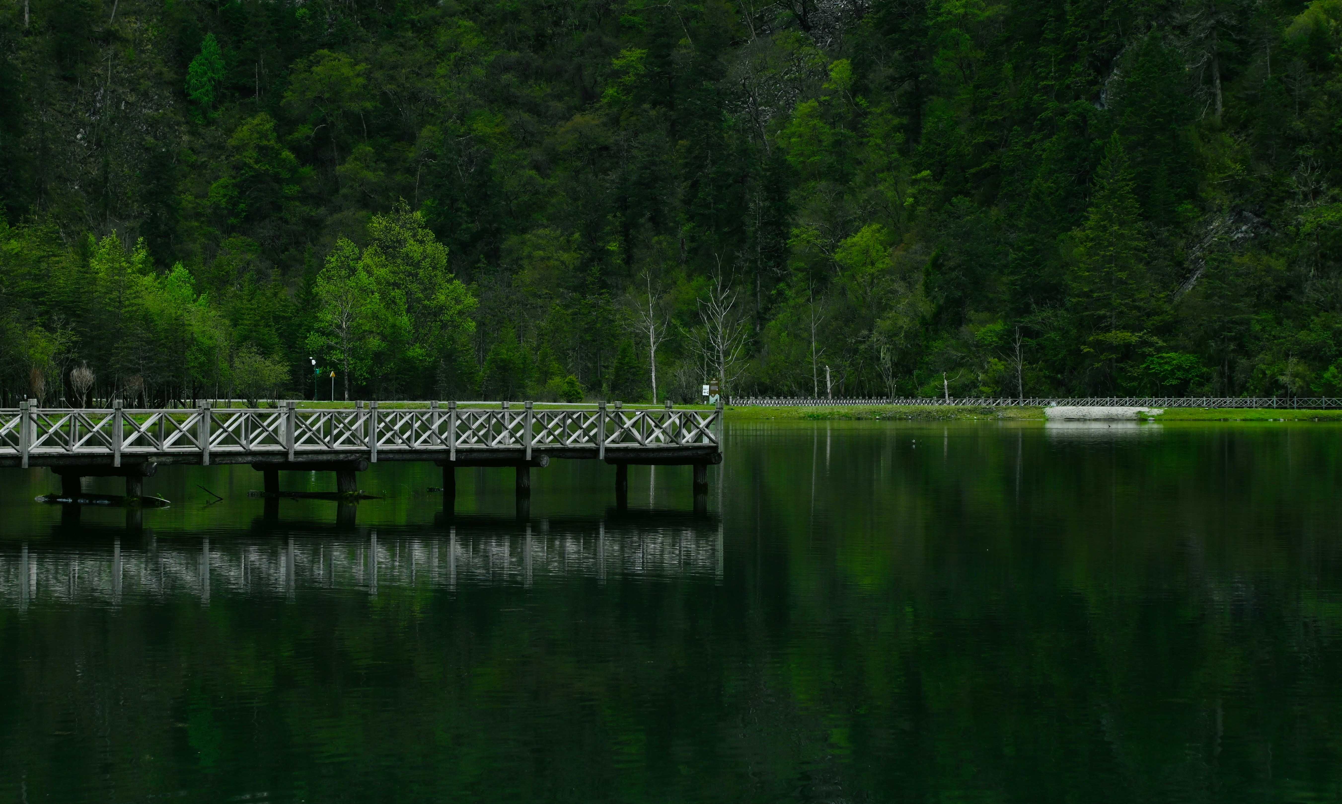 un ponte su uno specchio d'acqua con alberi sullo sfondo