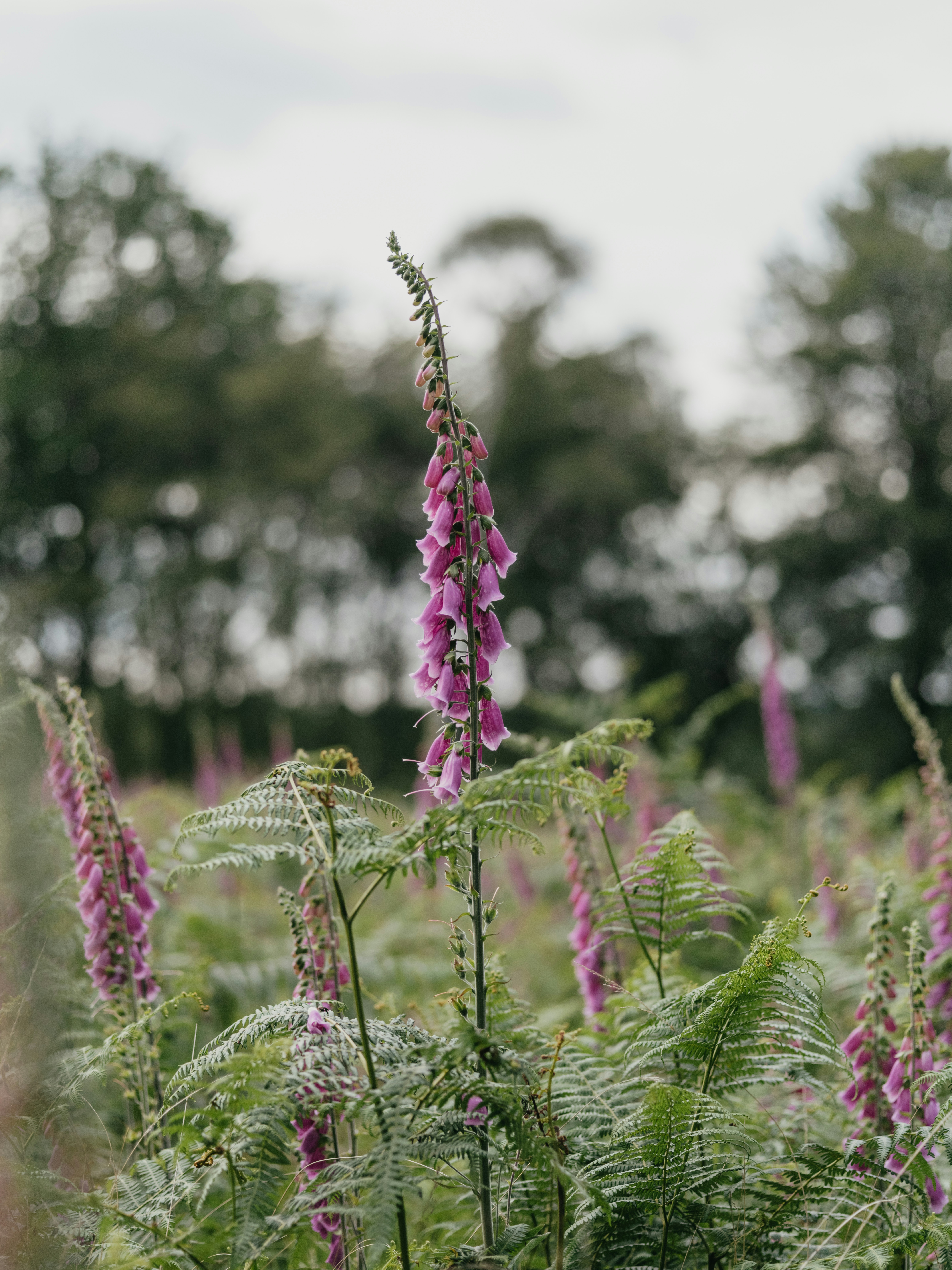 Photo by anniespratt