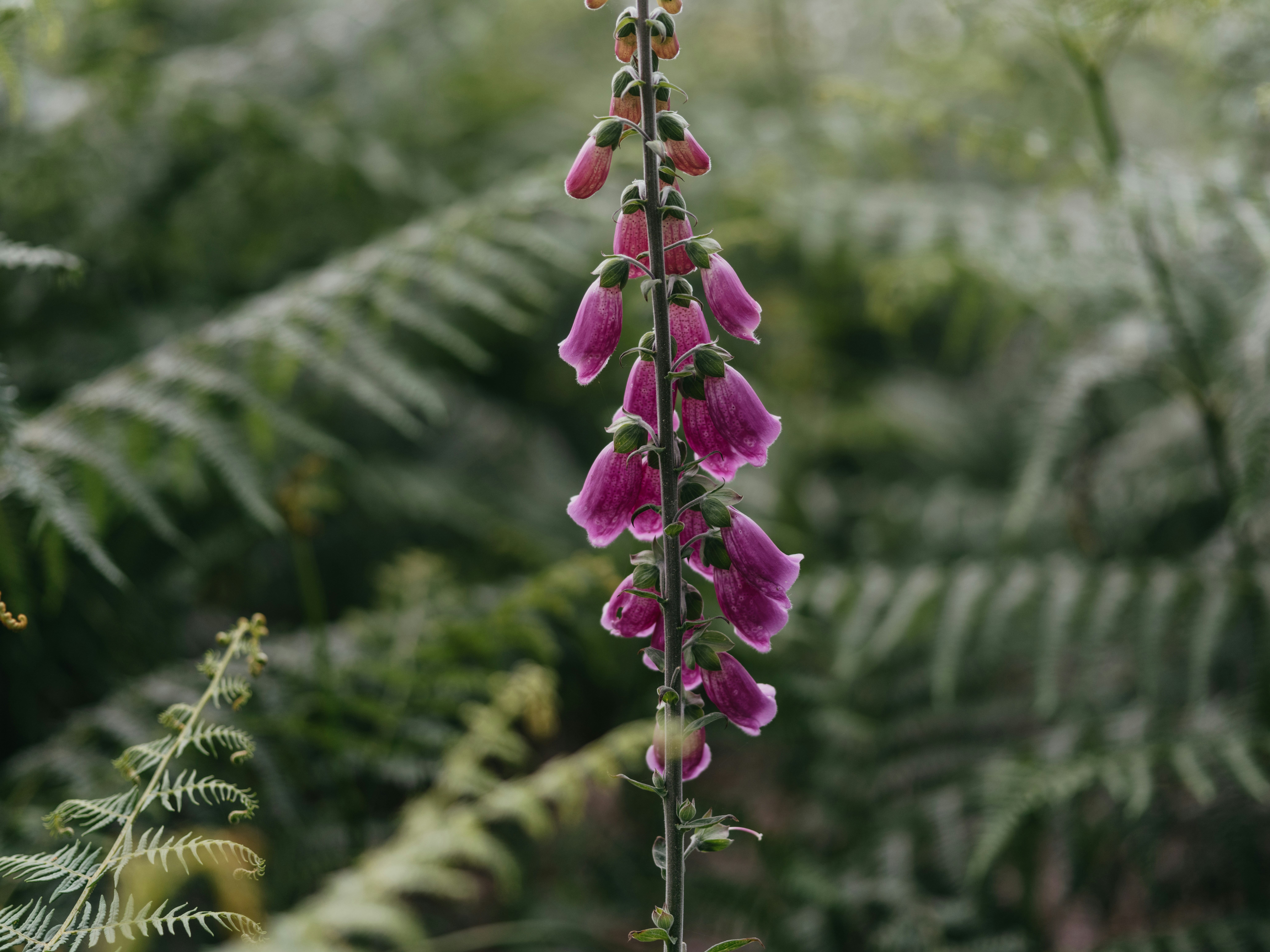 Photo by anniespratt