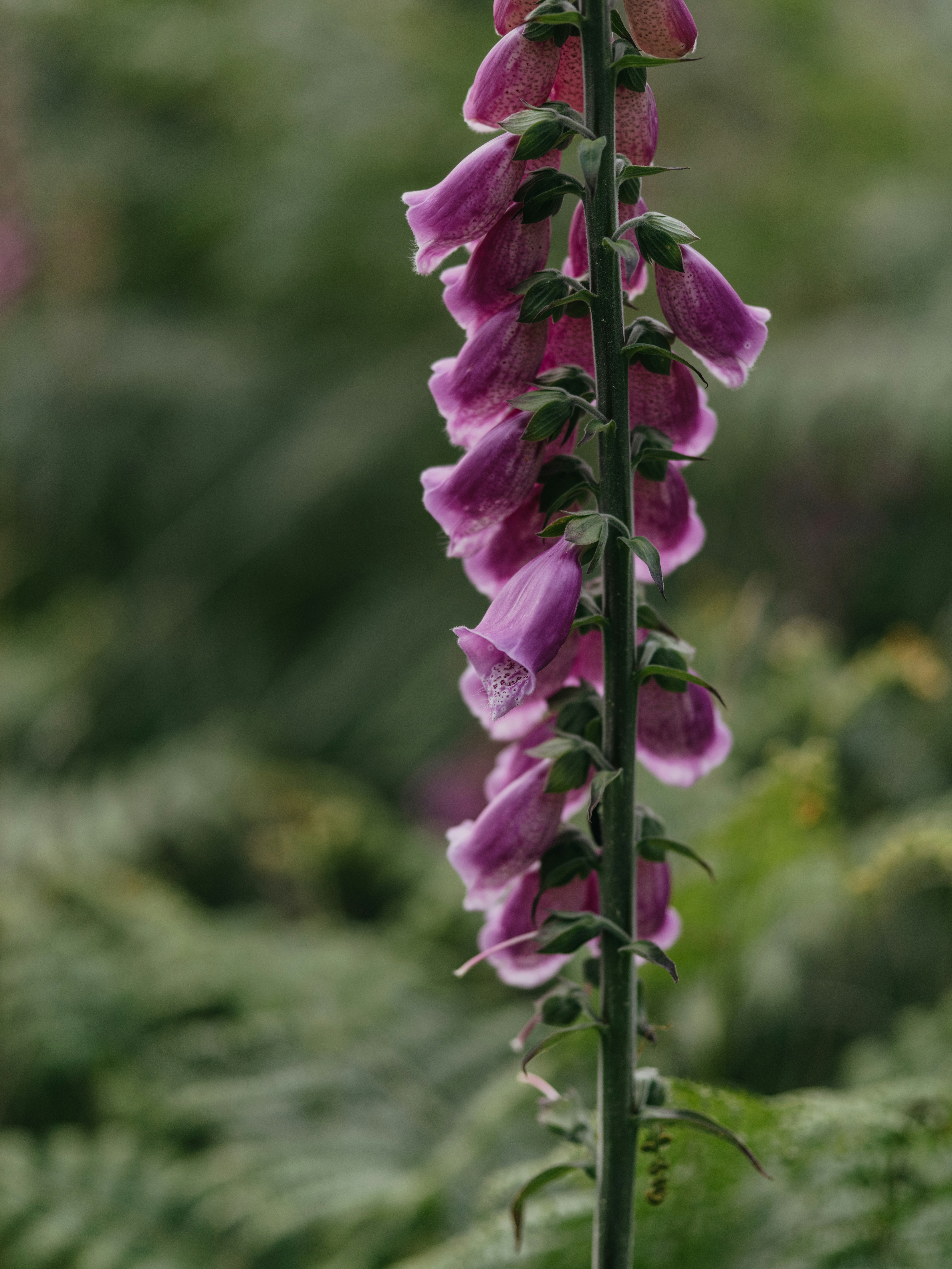 Photo by anniespratt