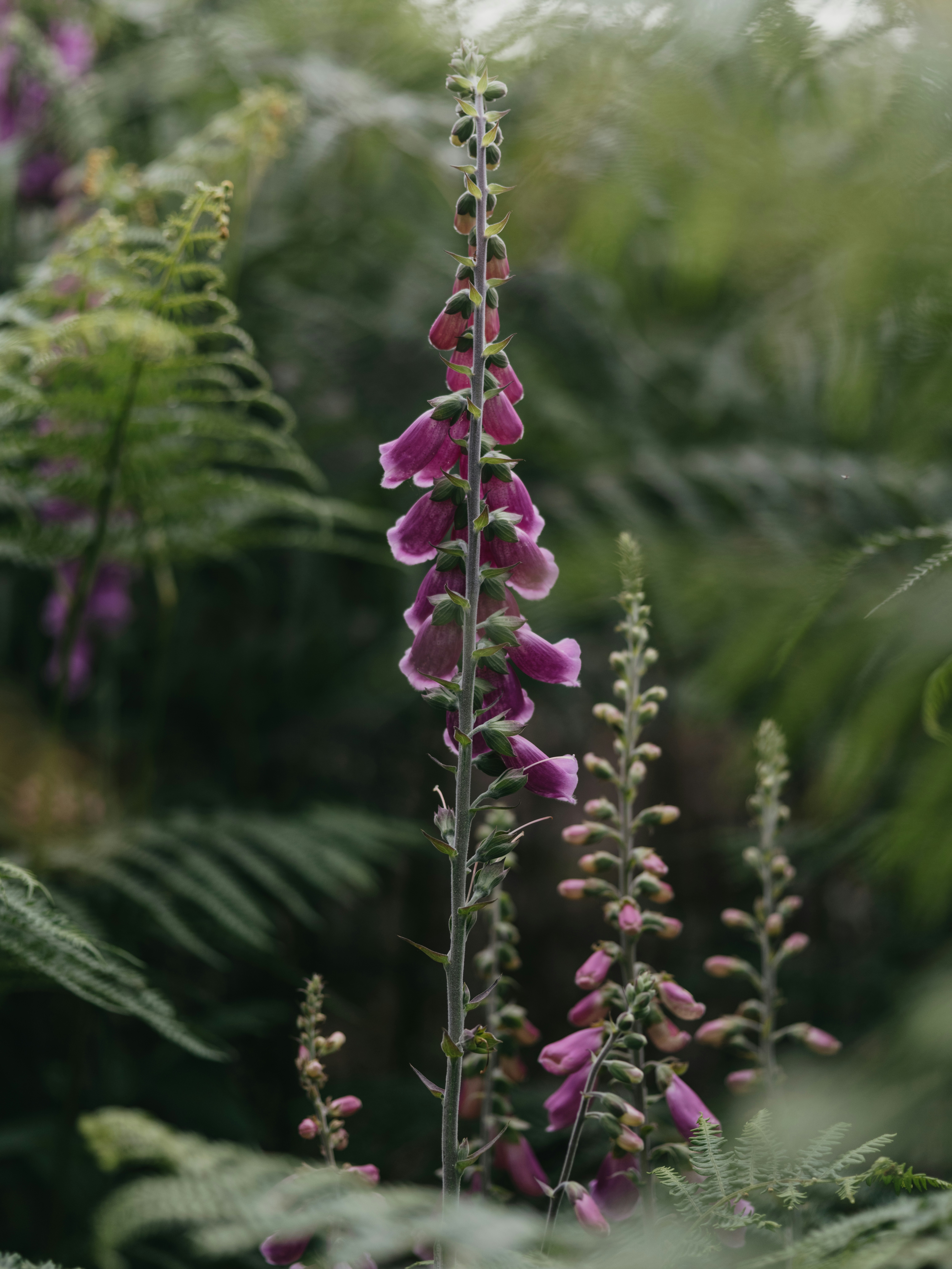 Photo by anniespratt