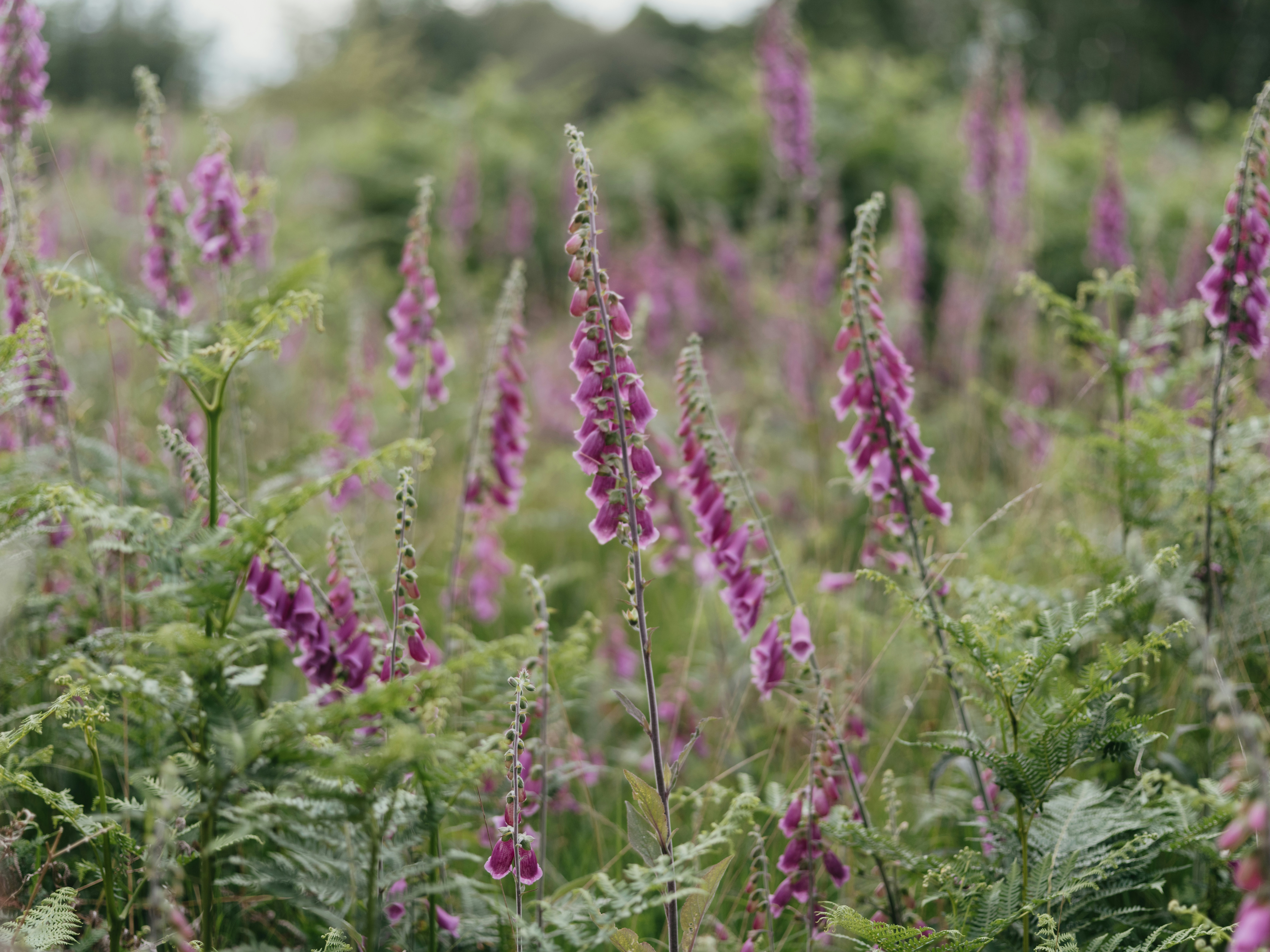 Photo by anniespratt