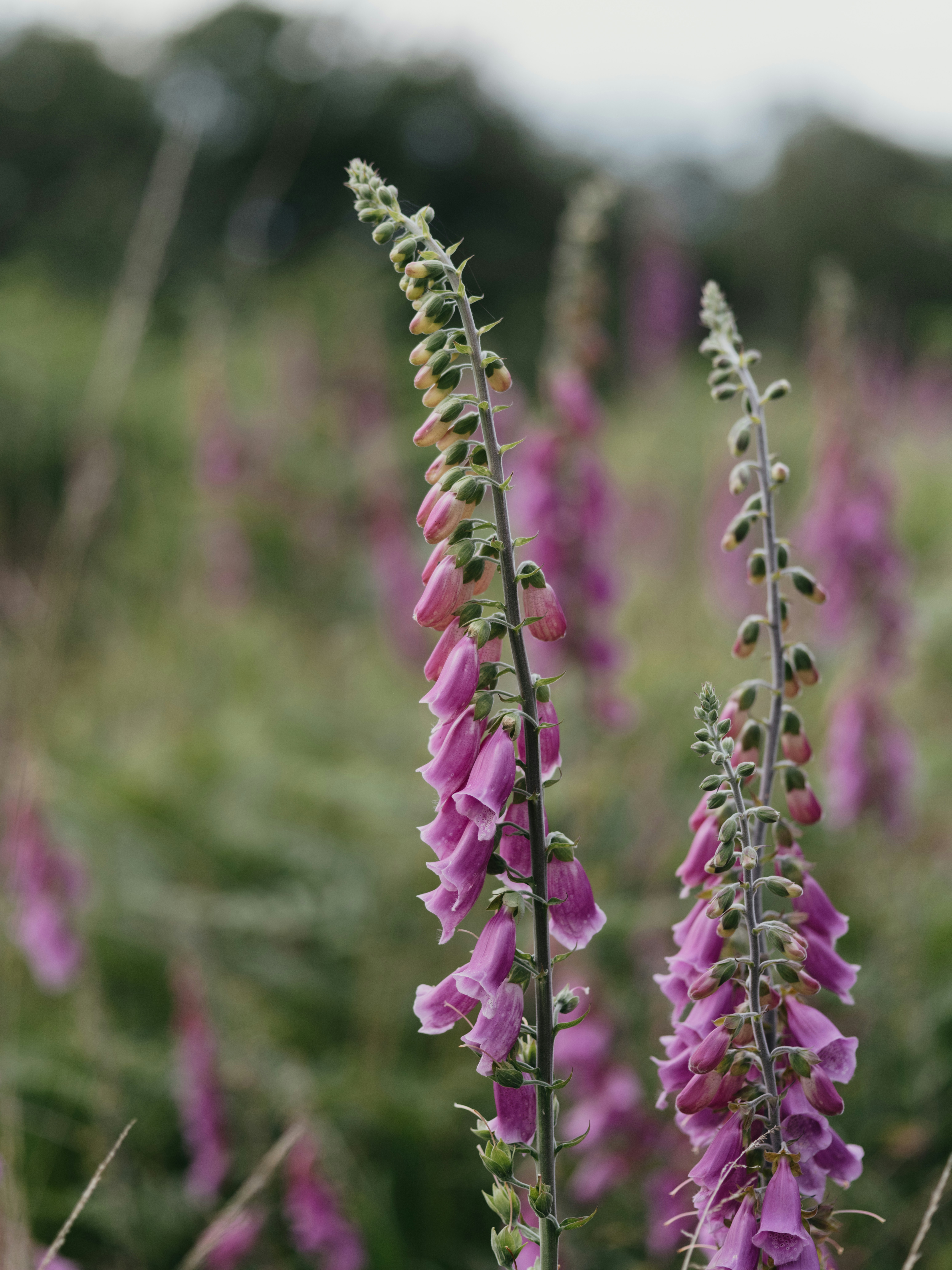 Photo by anniespratt