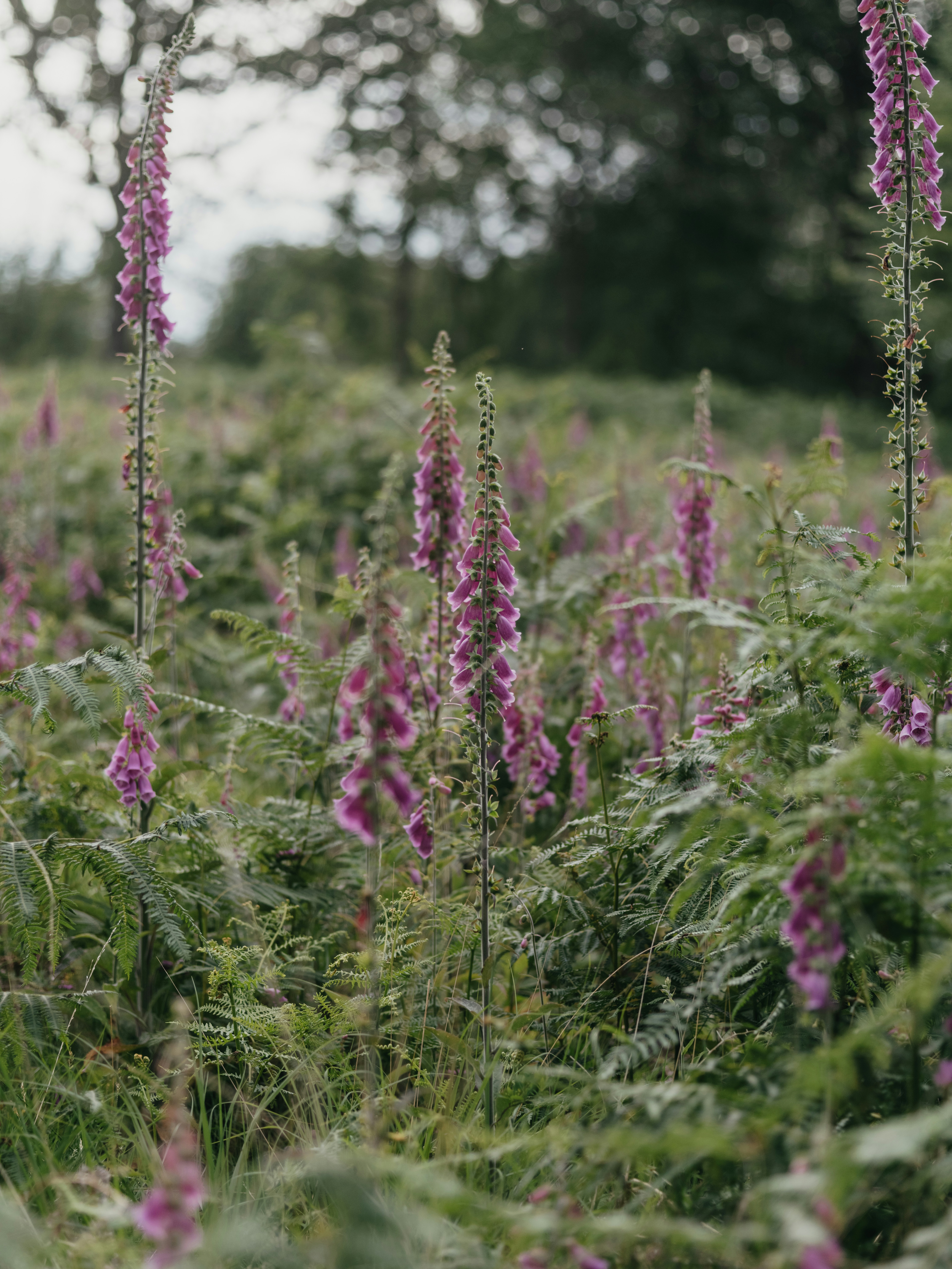 Photo by anniespratt