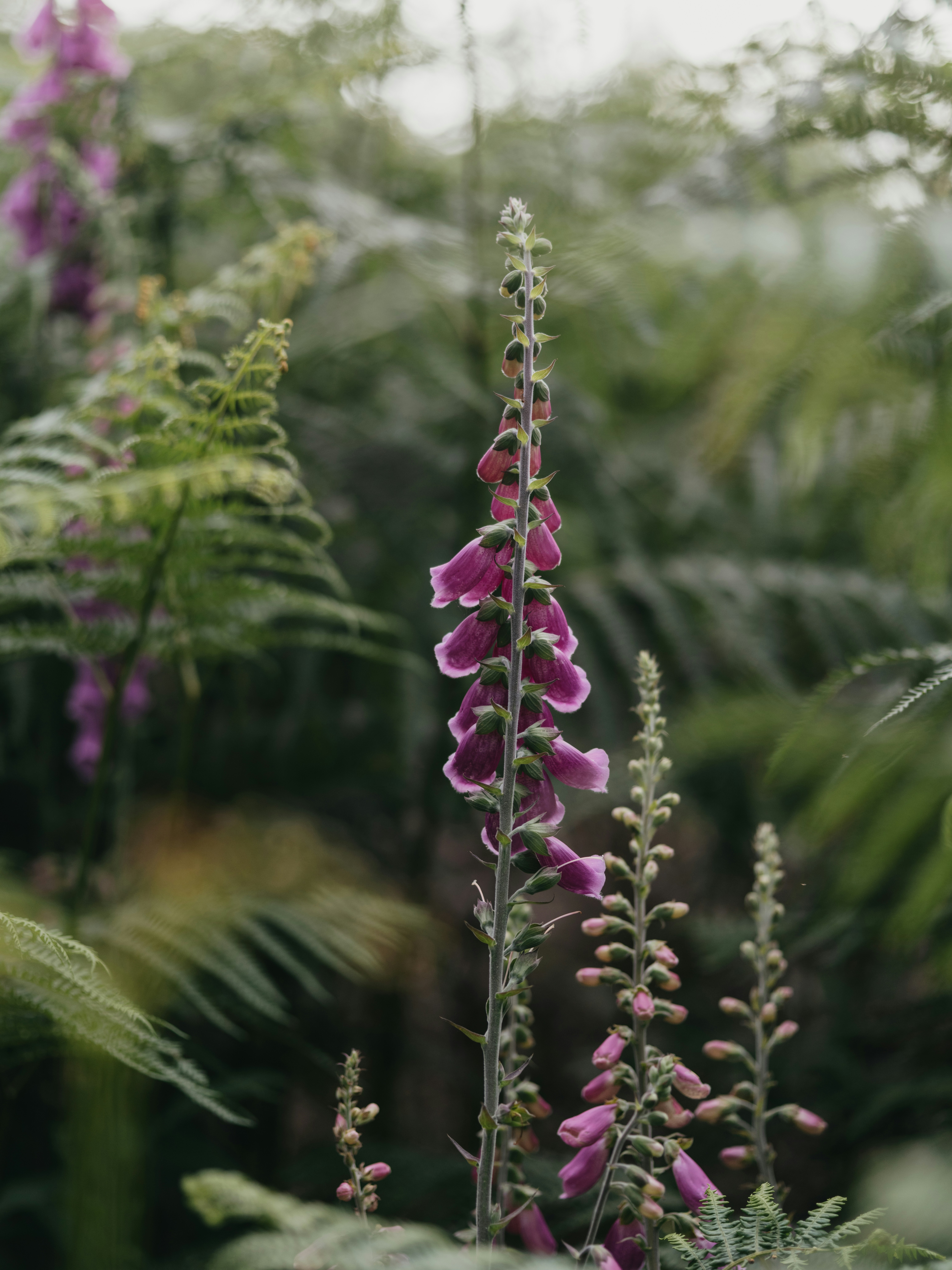 Photo by anniespratt