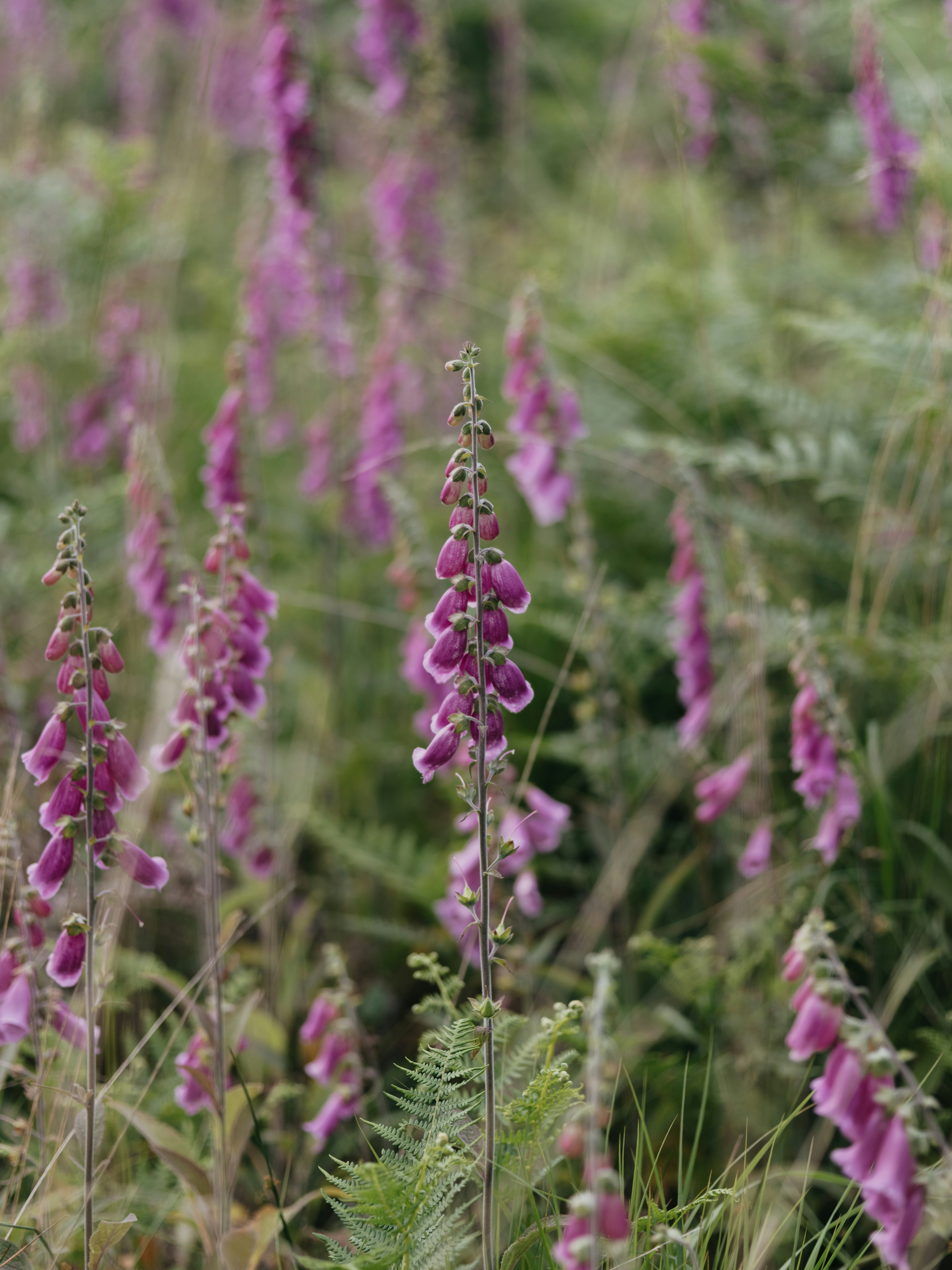 Photo by anniespratt