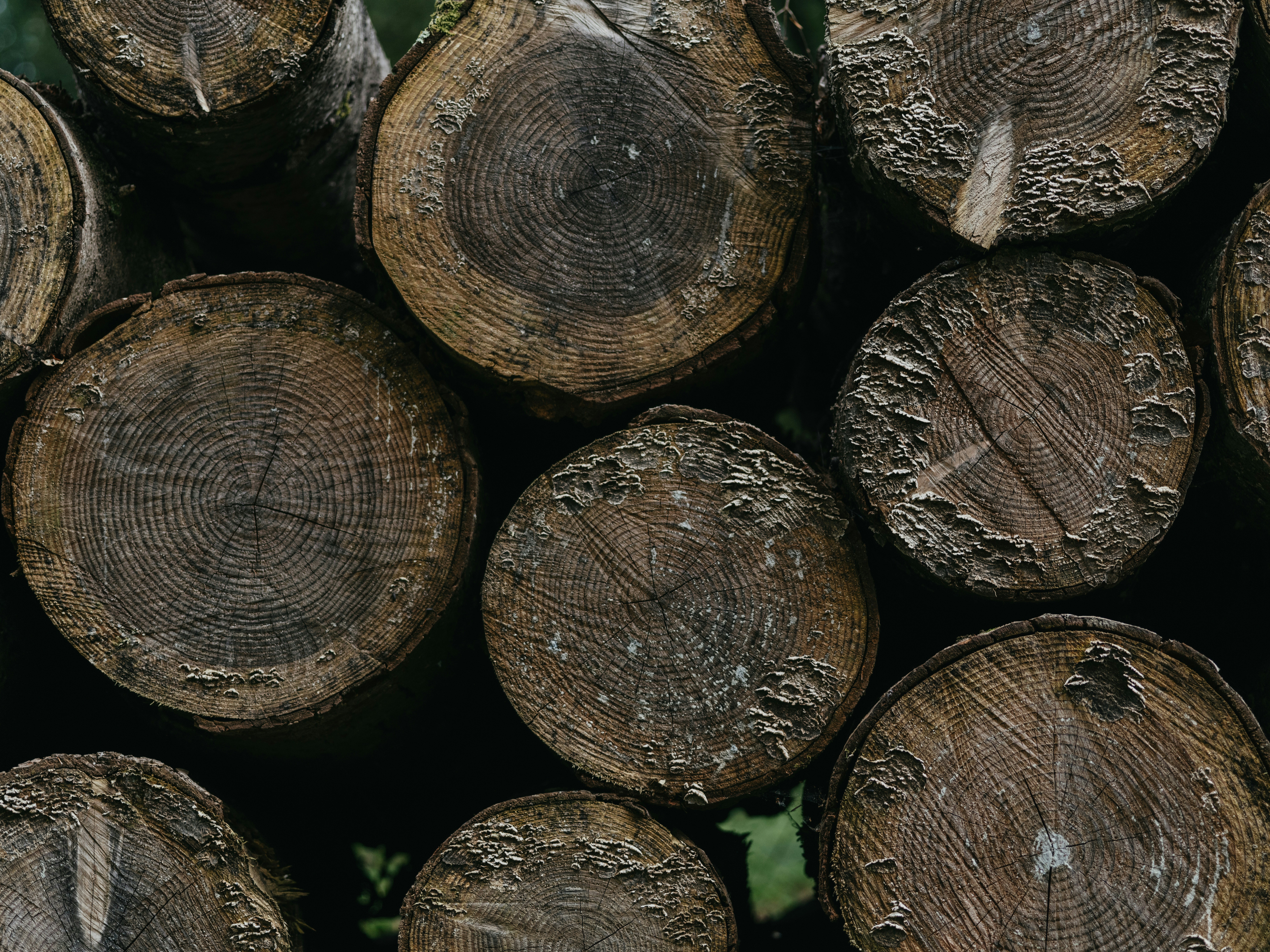 Photo by anniespratt