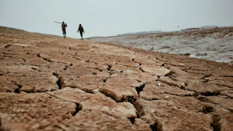 a couple of people walking across a dry grass field