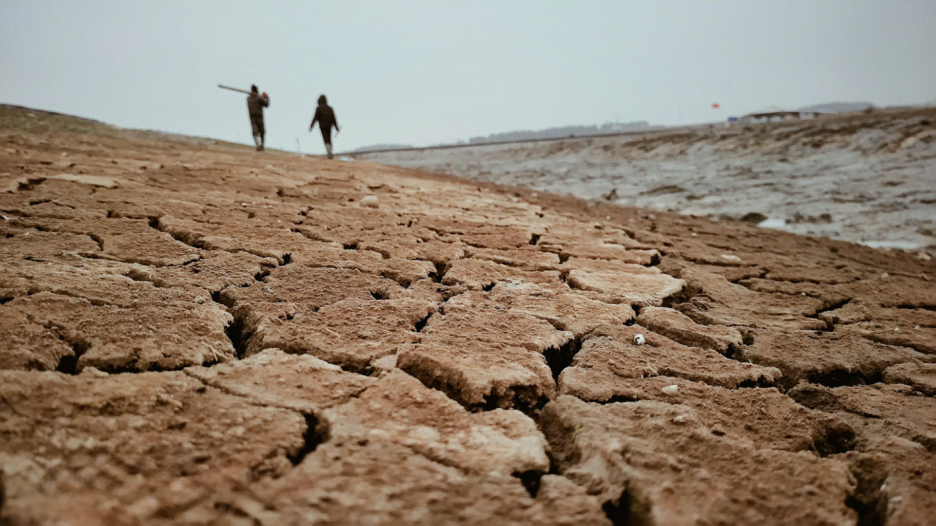 a couple of people walking across a dry grass field