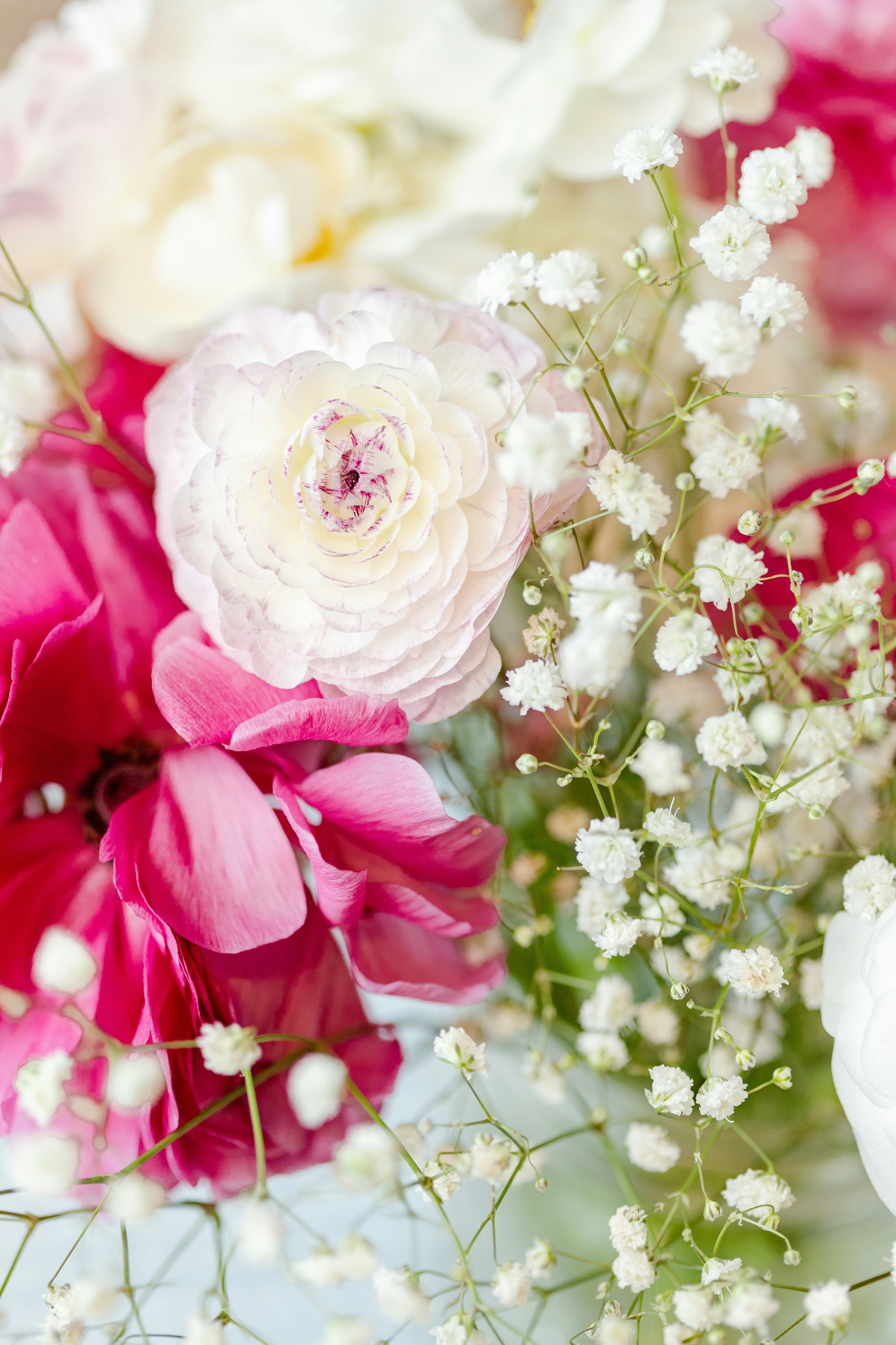 Photo by ohlmanphotography