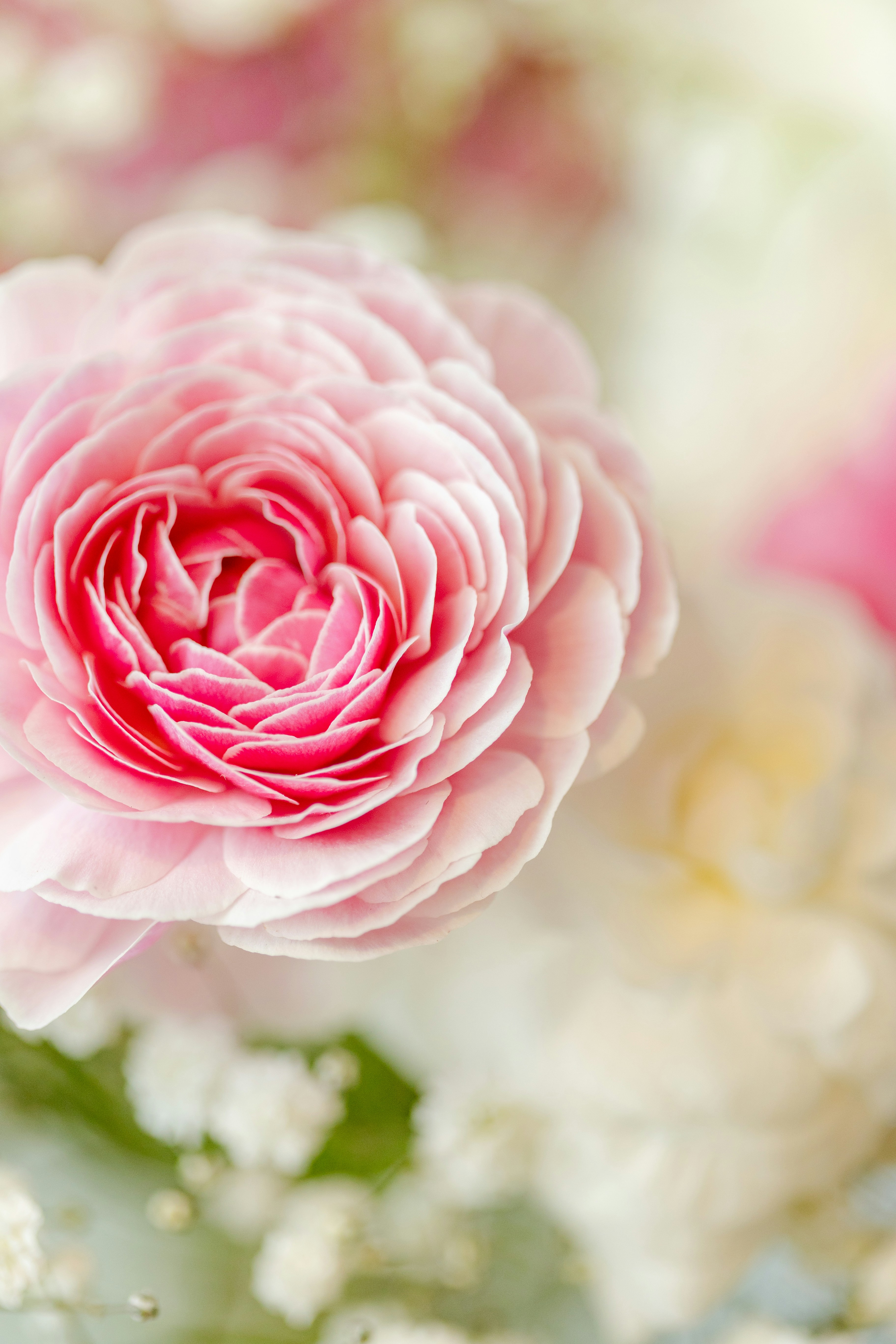 Photo by ohlmanphotography