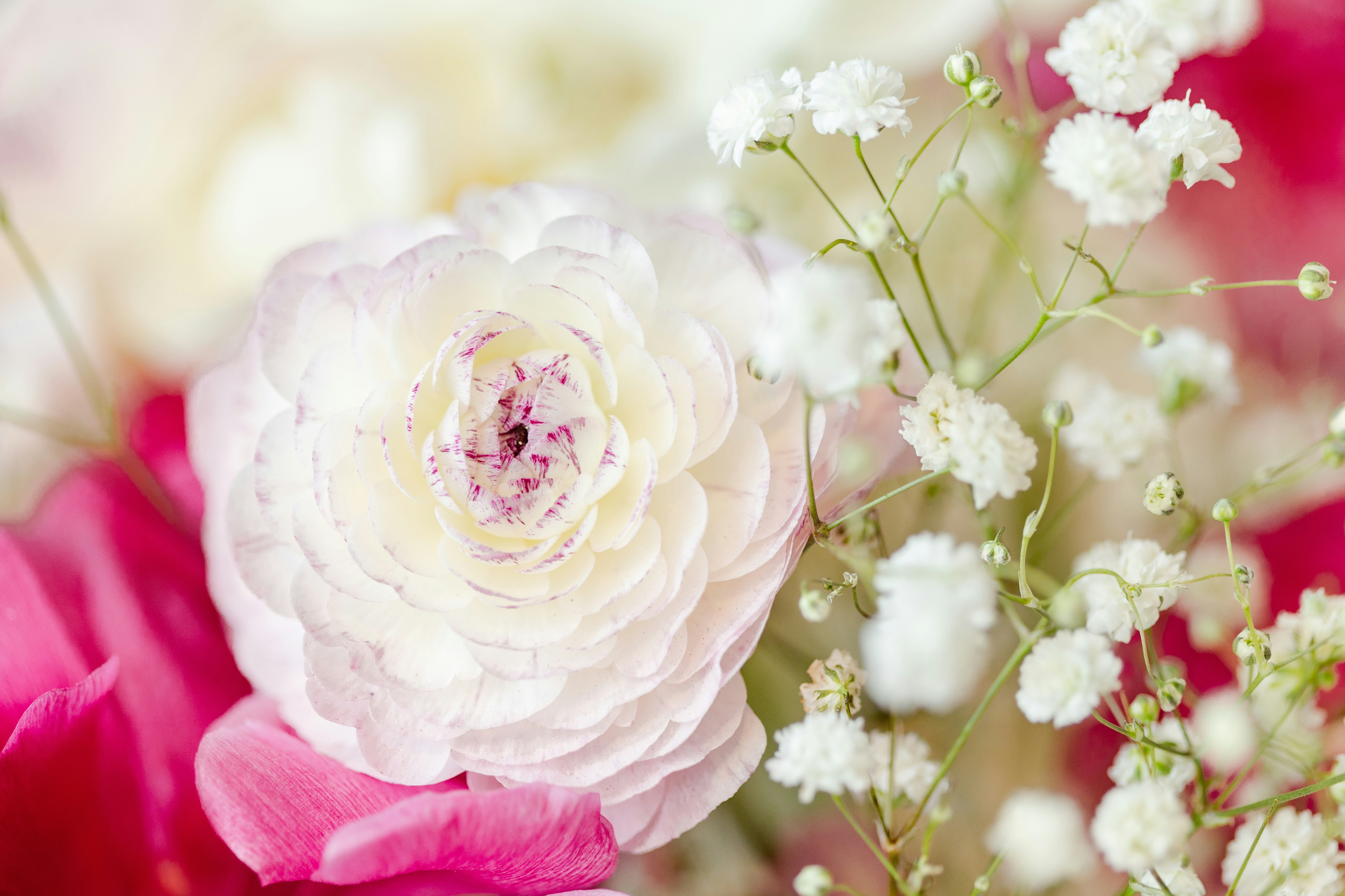 Photo by ohlmanphotography