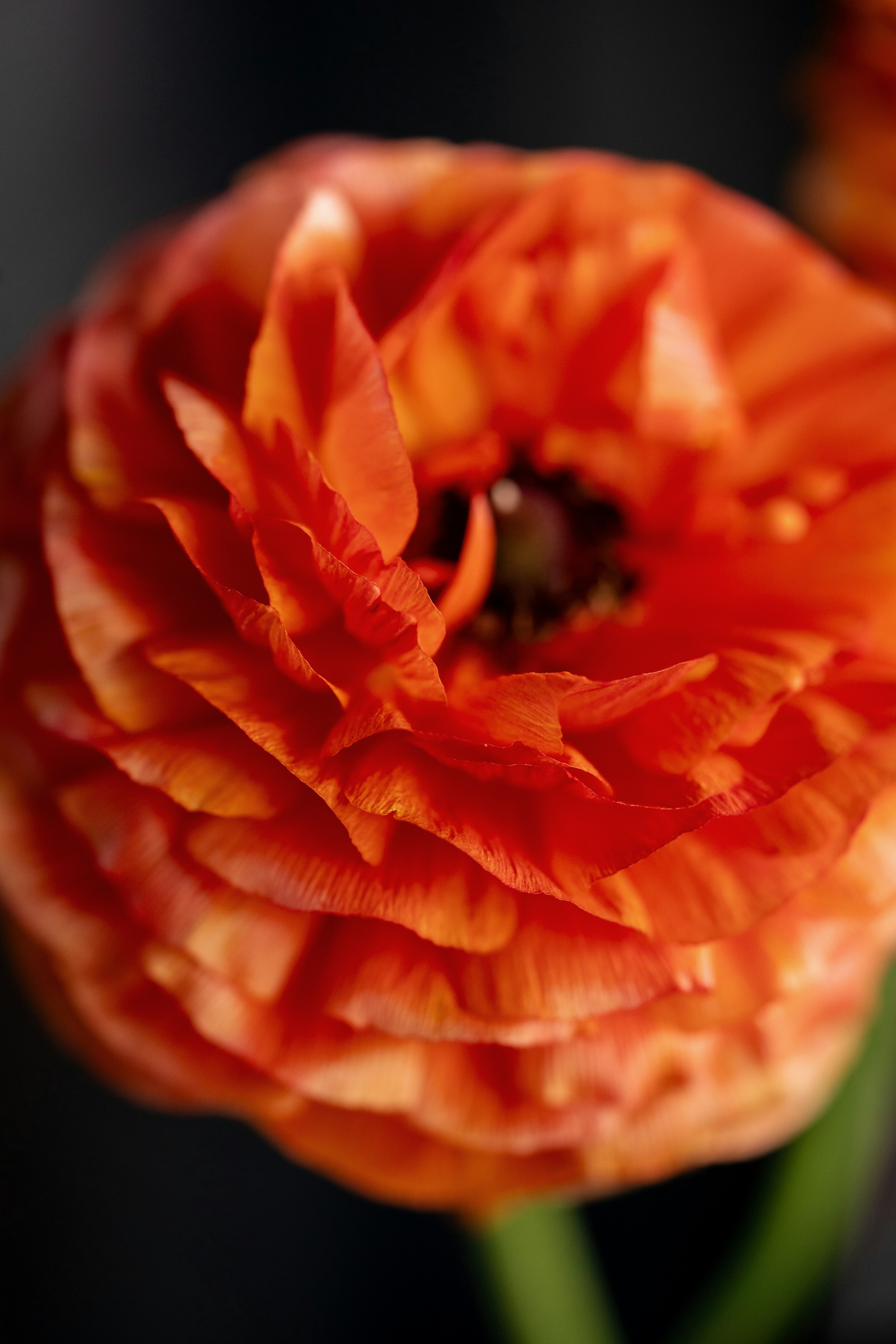 Photo by olenkasergienko