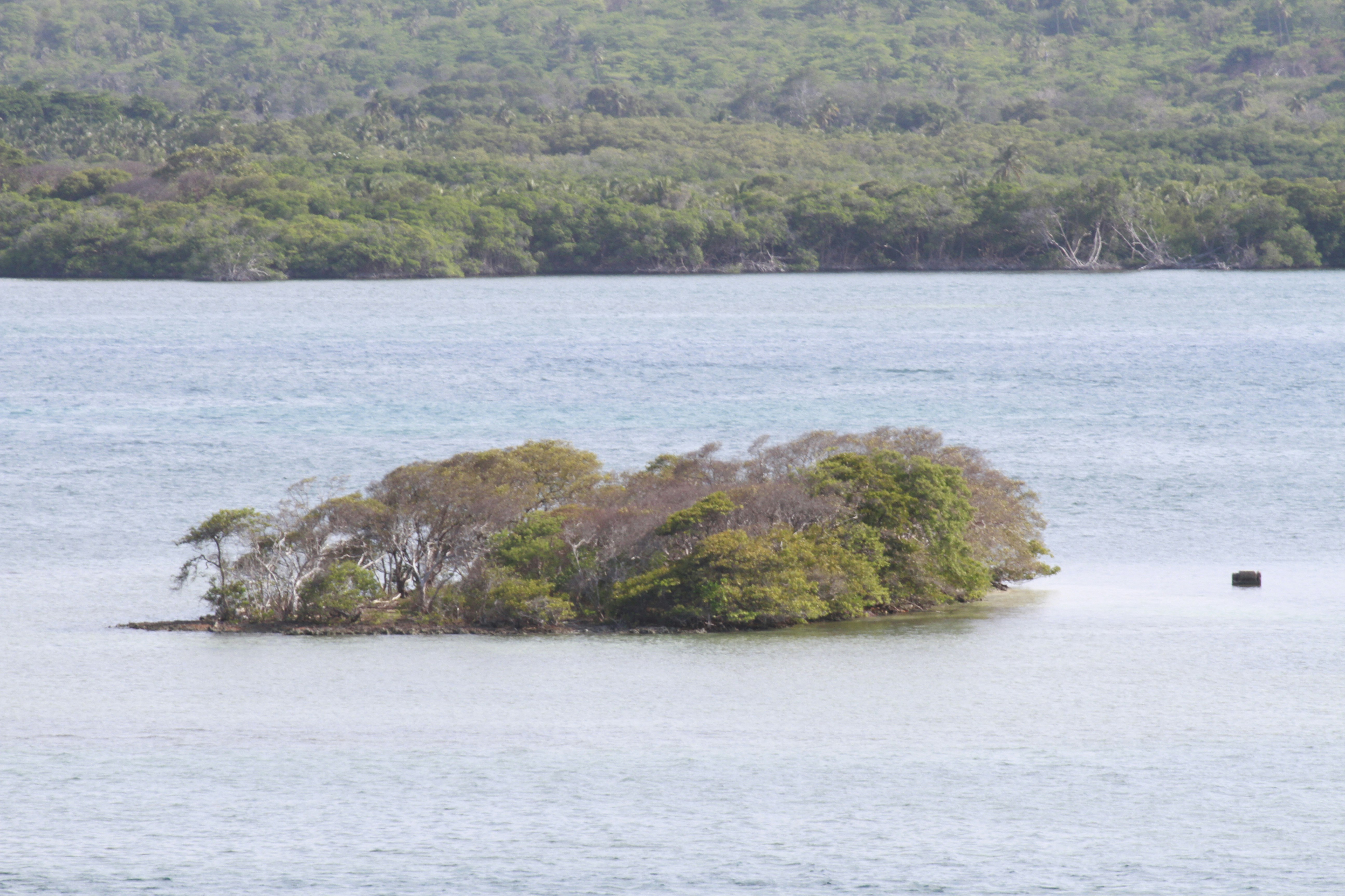 Photo by disfruta_cafe