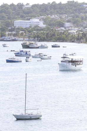 a group of boats floating on top of a large body of water