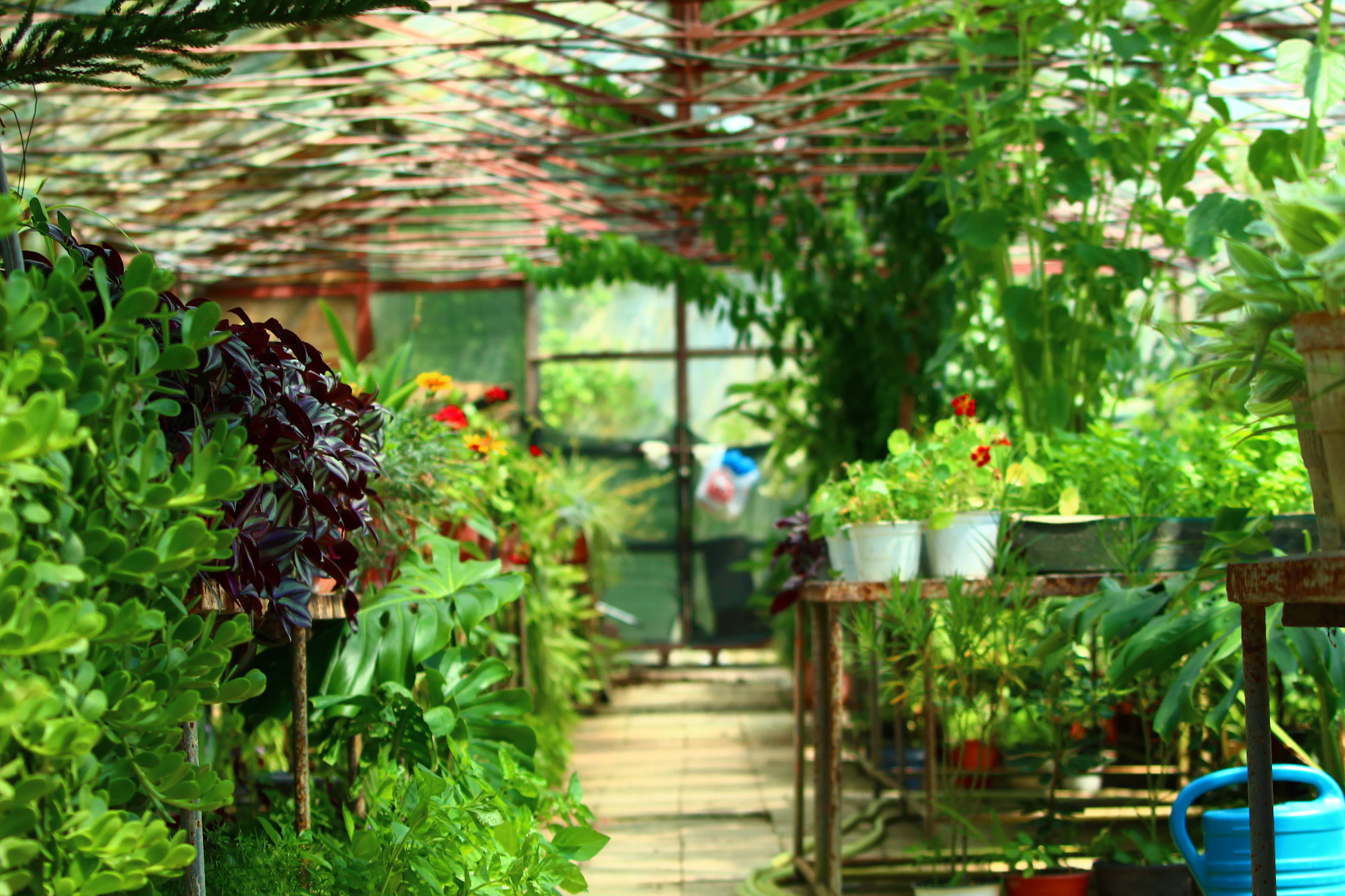 Beautiful garden inspiration