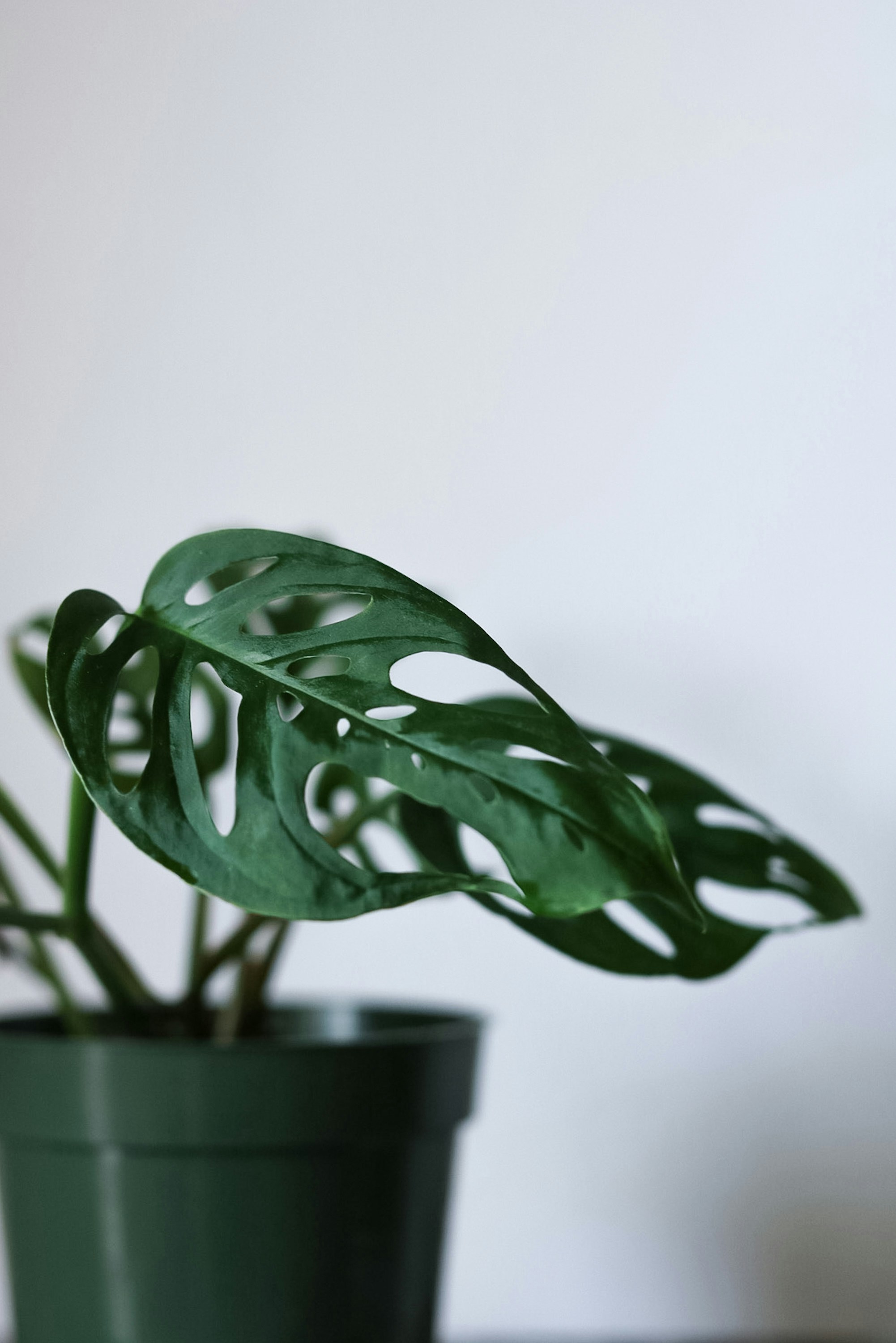 Photo by ashleycanaday