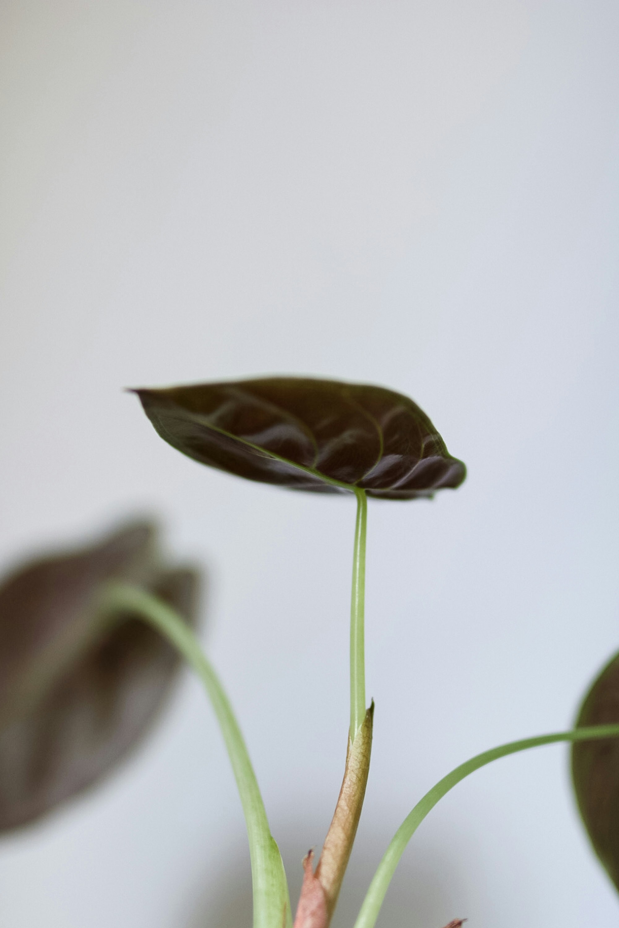 Photo by ashleycanaday