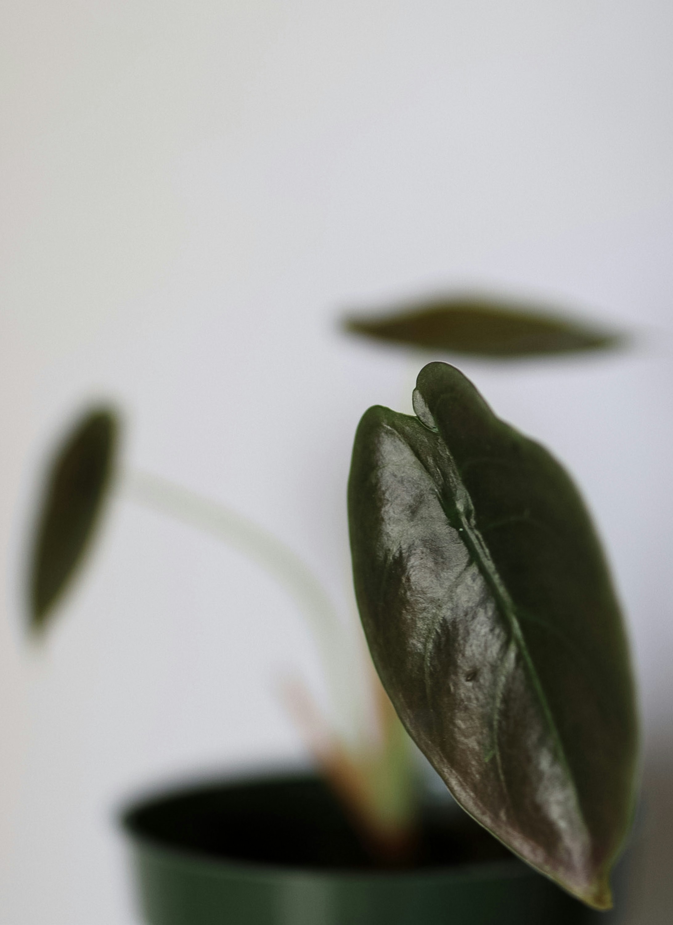 Photo by ashleycanaday