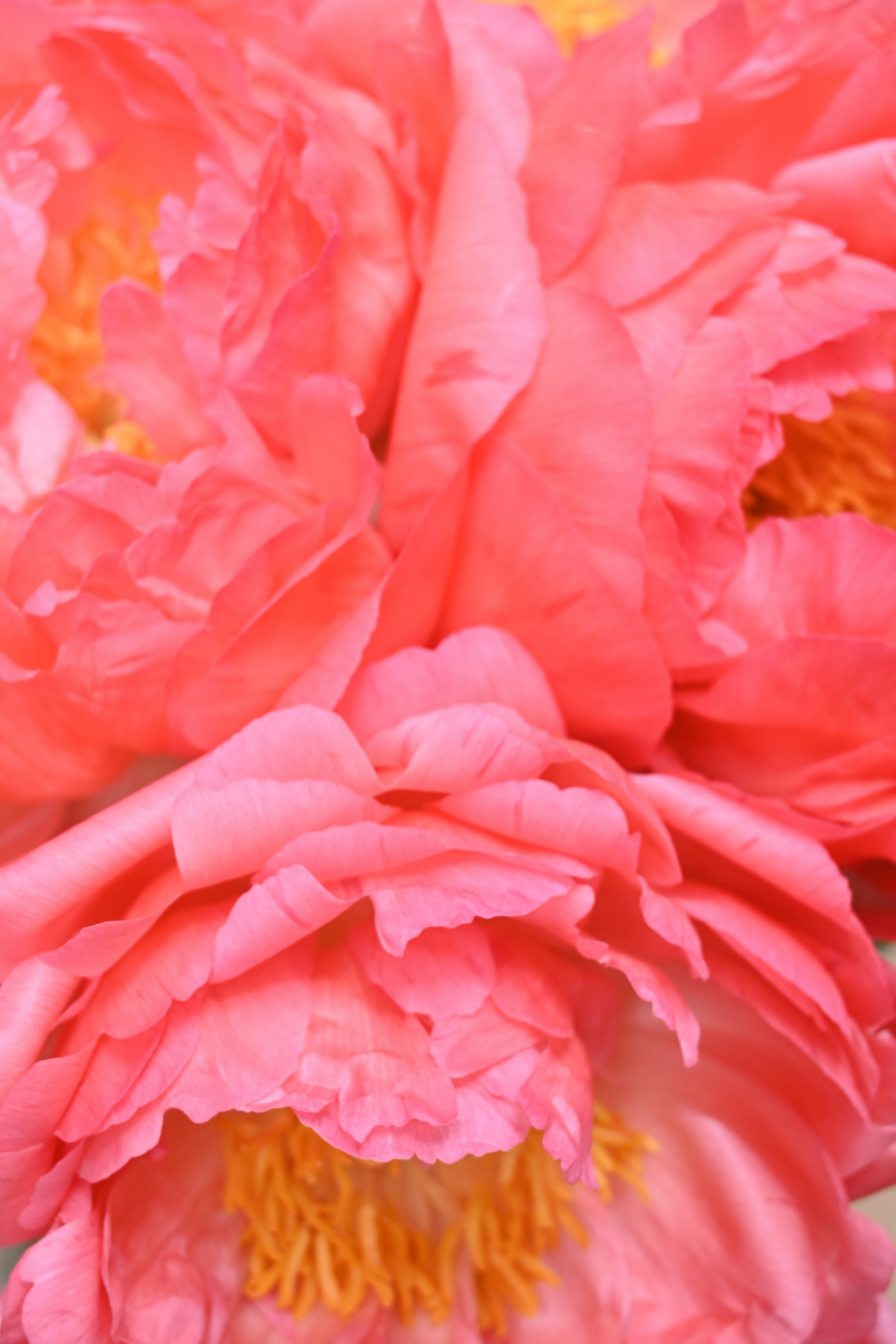 Photo by karolinabobek