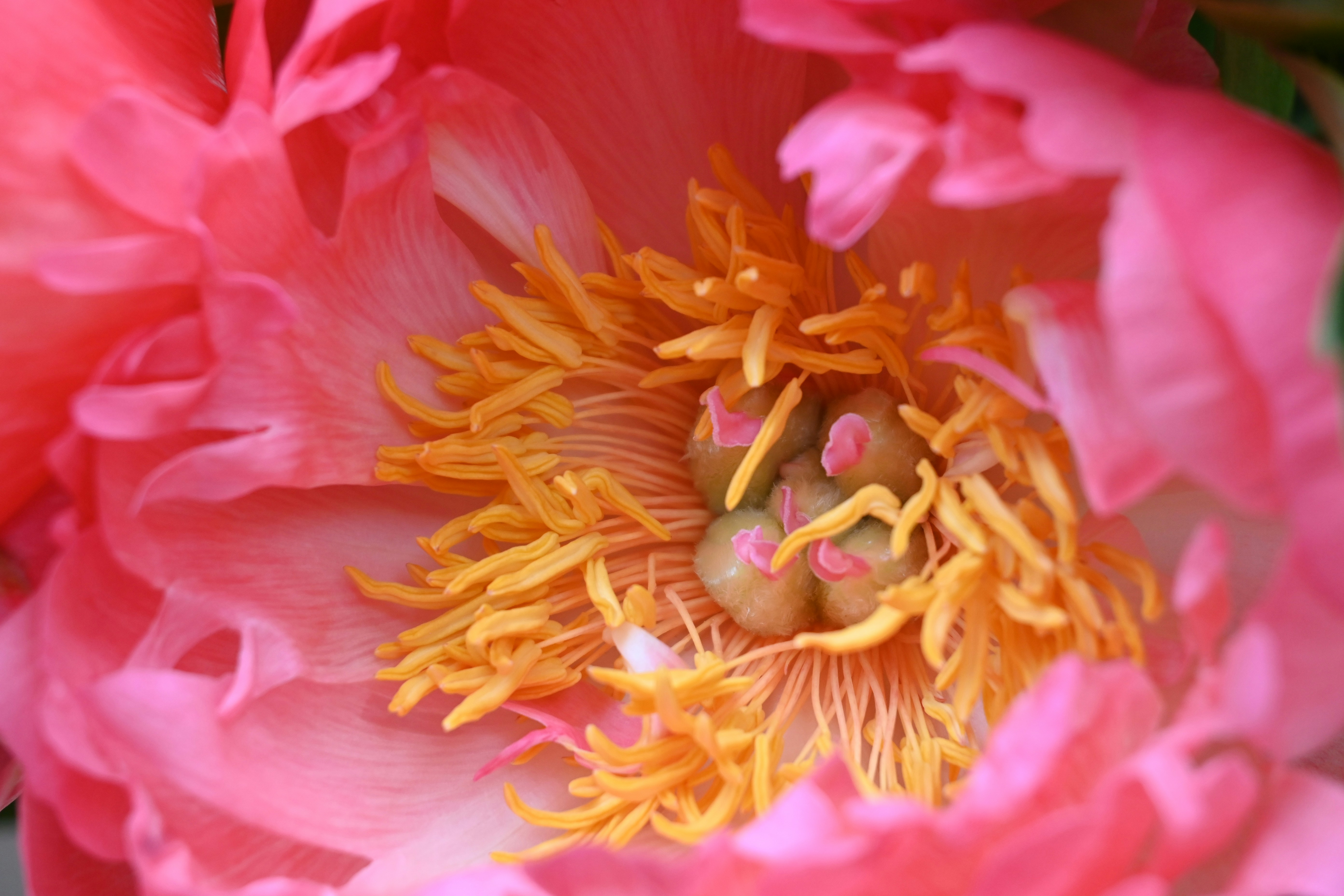 Photo by karolinabobek