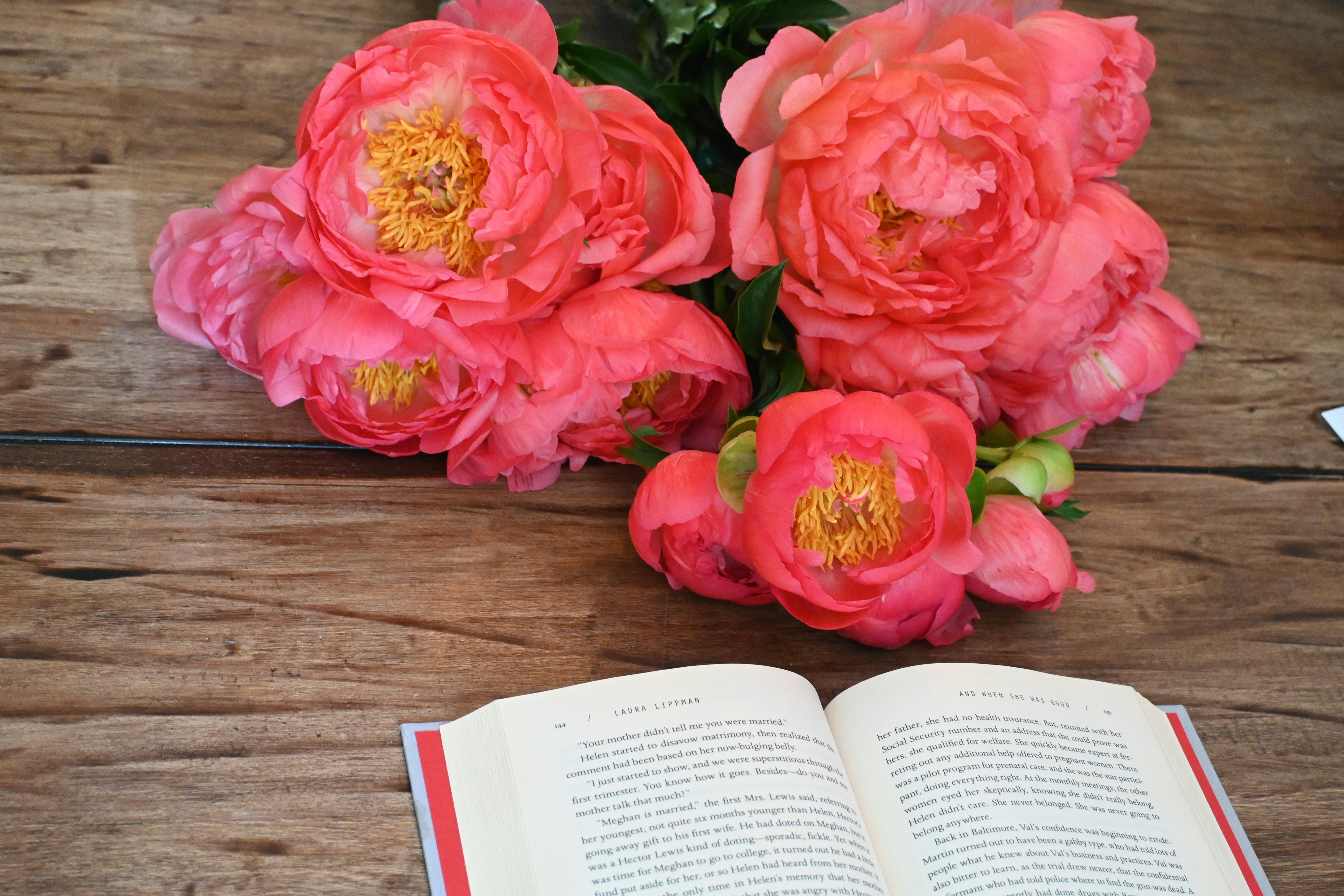 Photo by karolinabobek