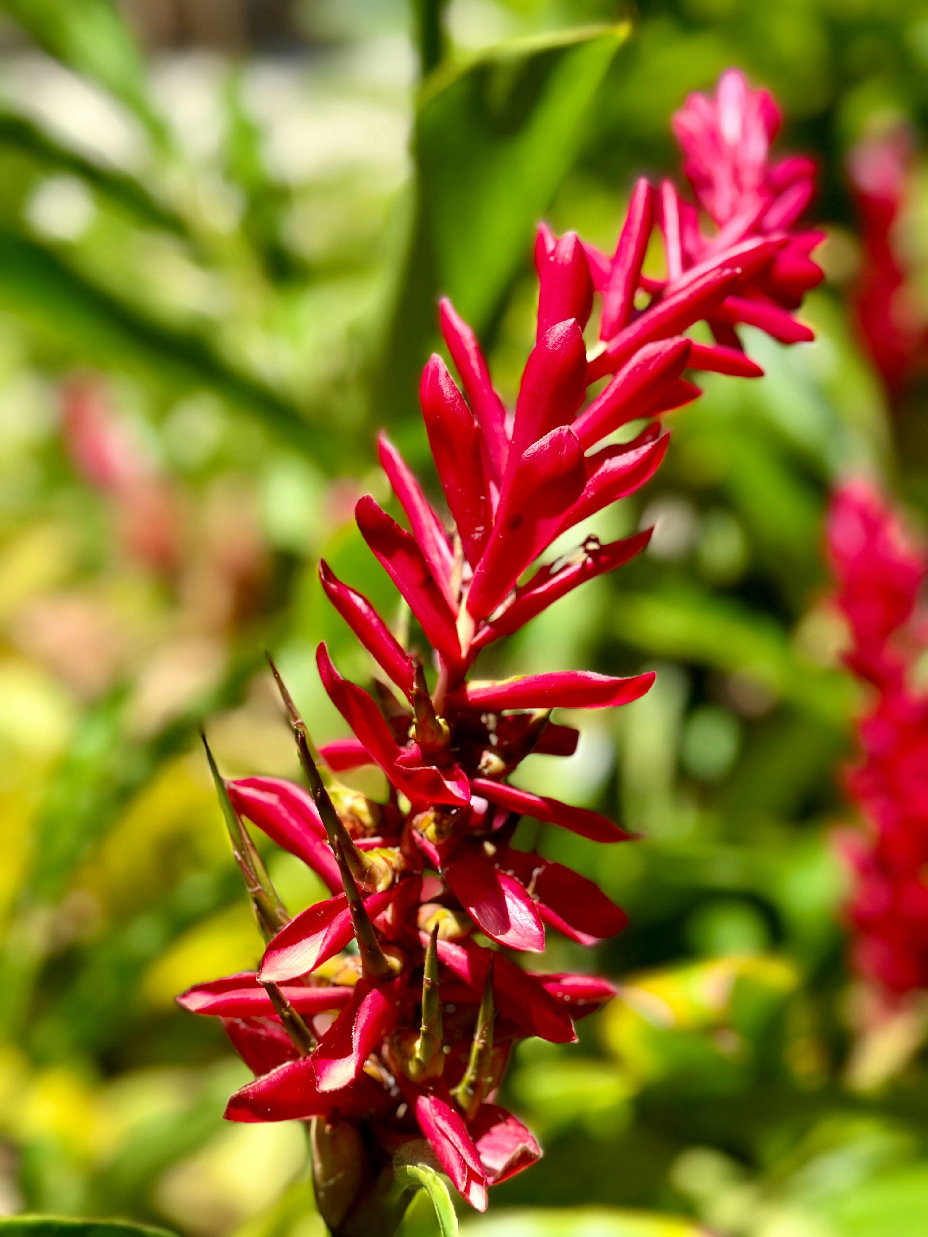 Photo by missylynnarts