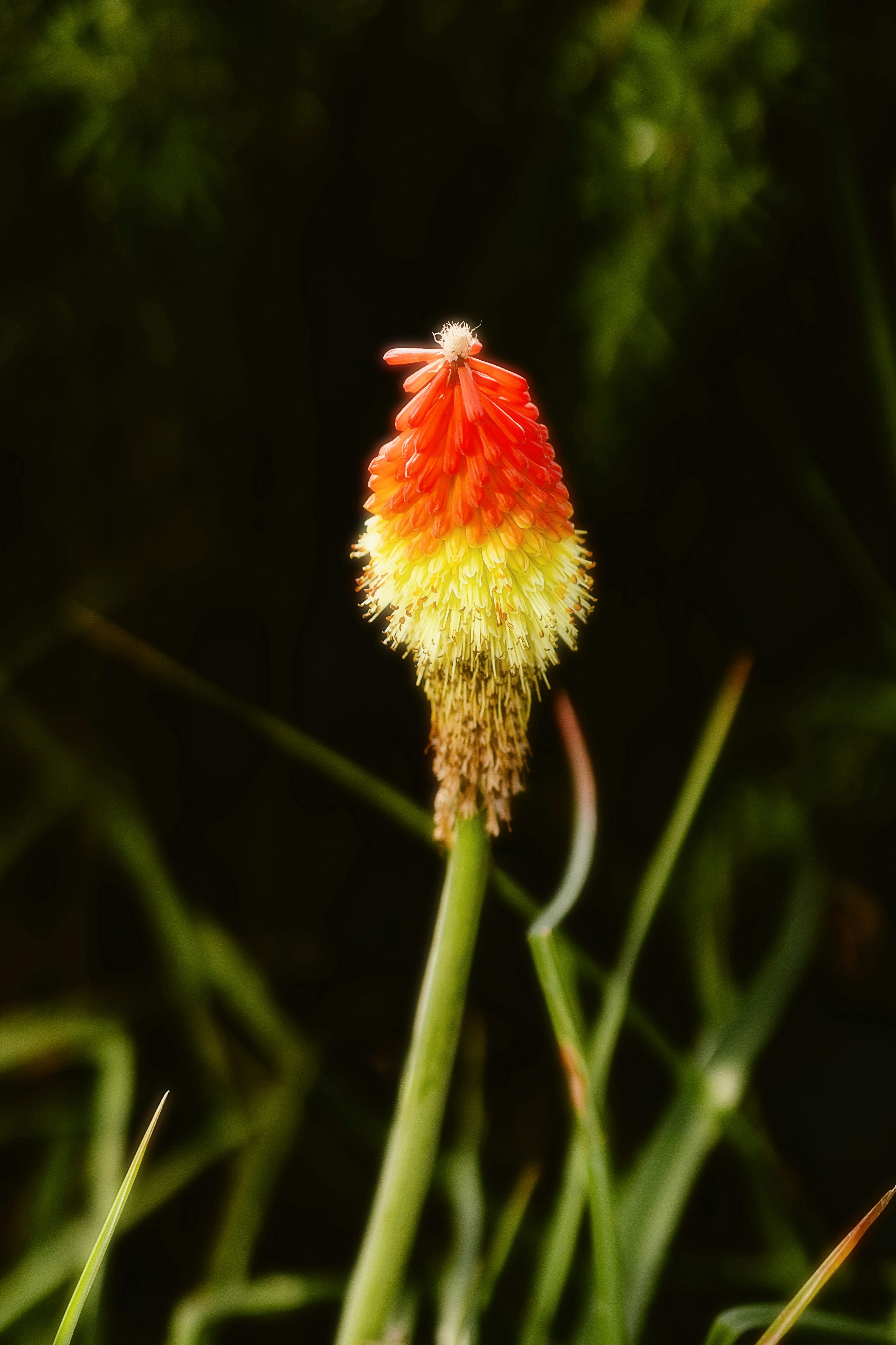 Photo by alingavriliuc