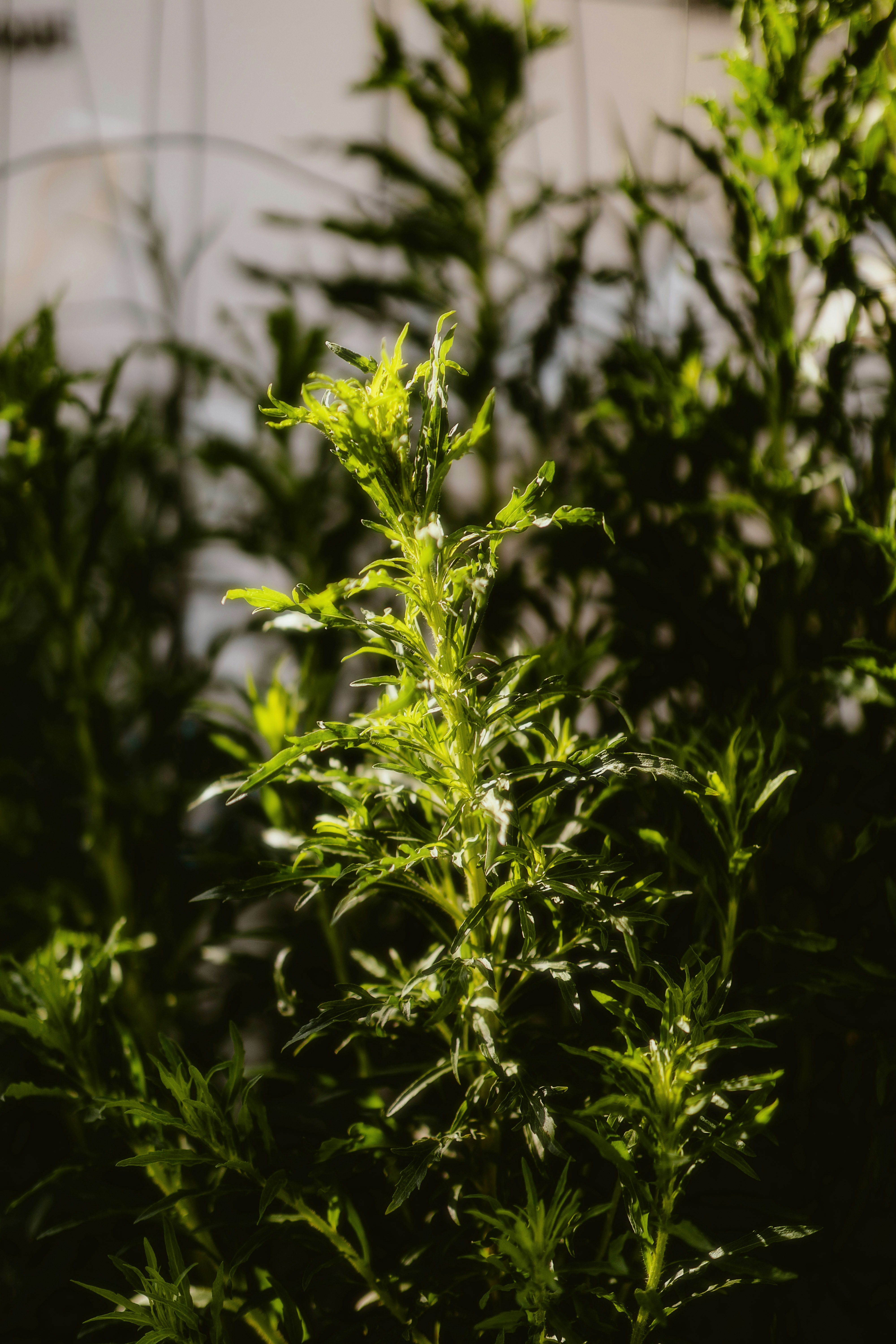 Photo by alingavriliuc