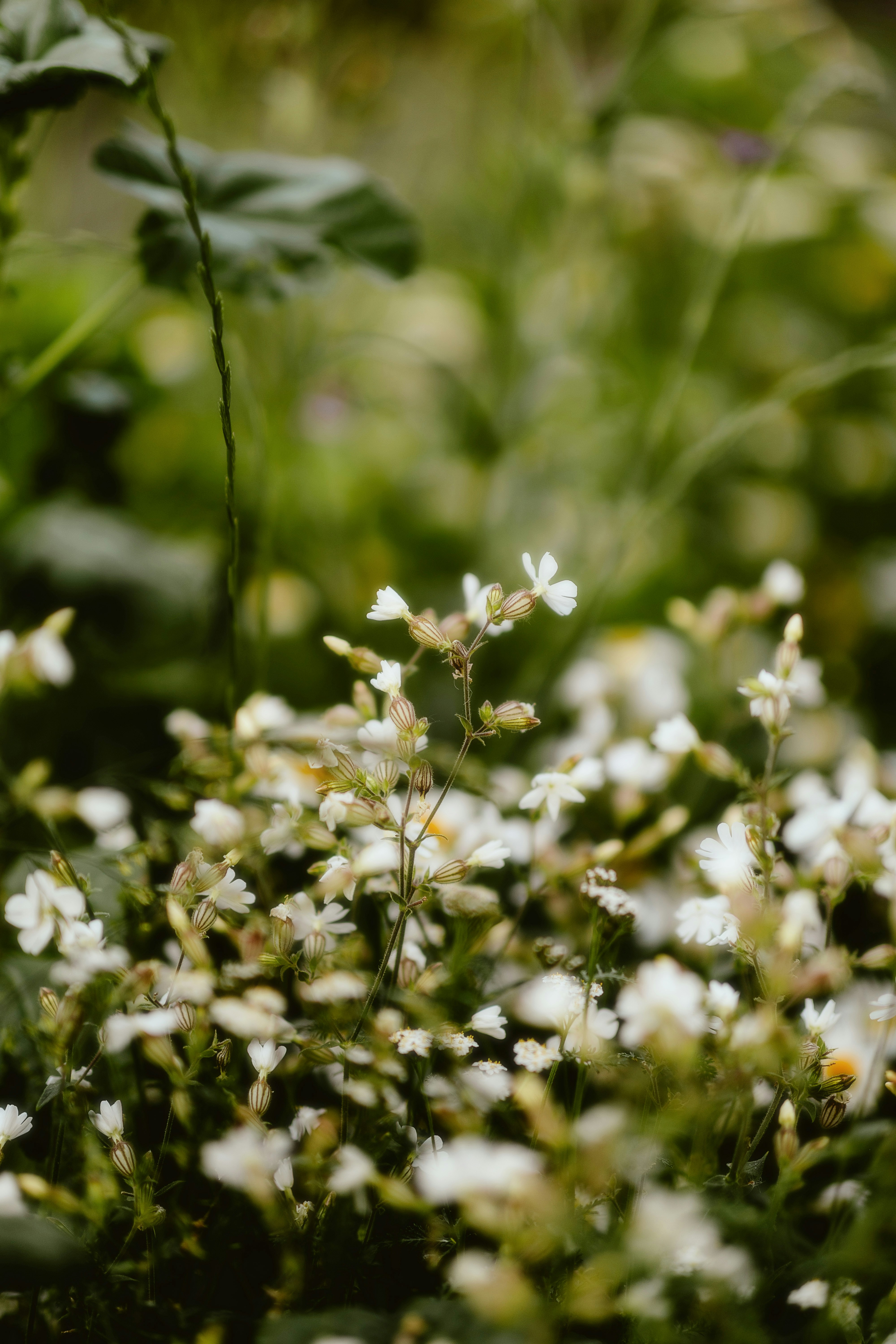 Photo by alingavriliuc