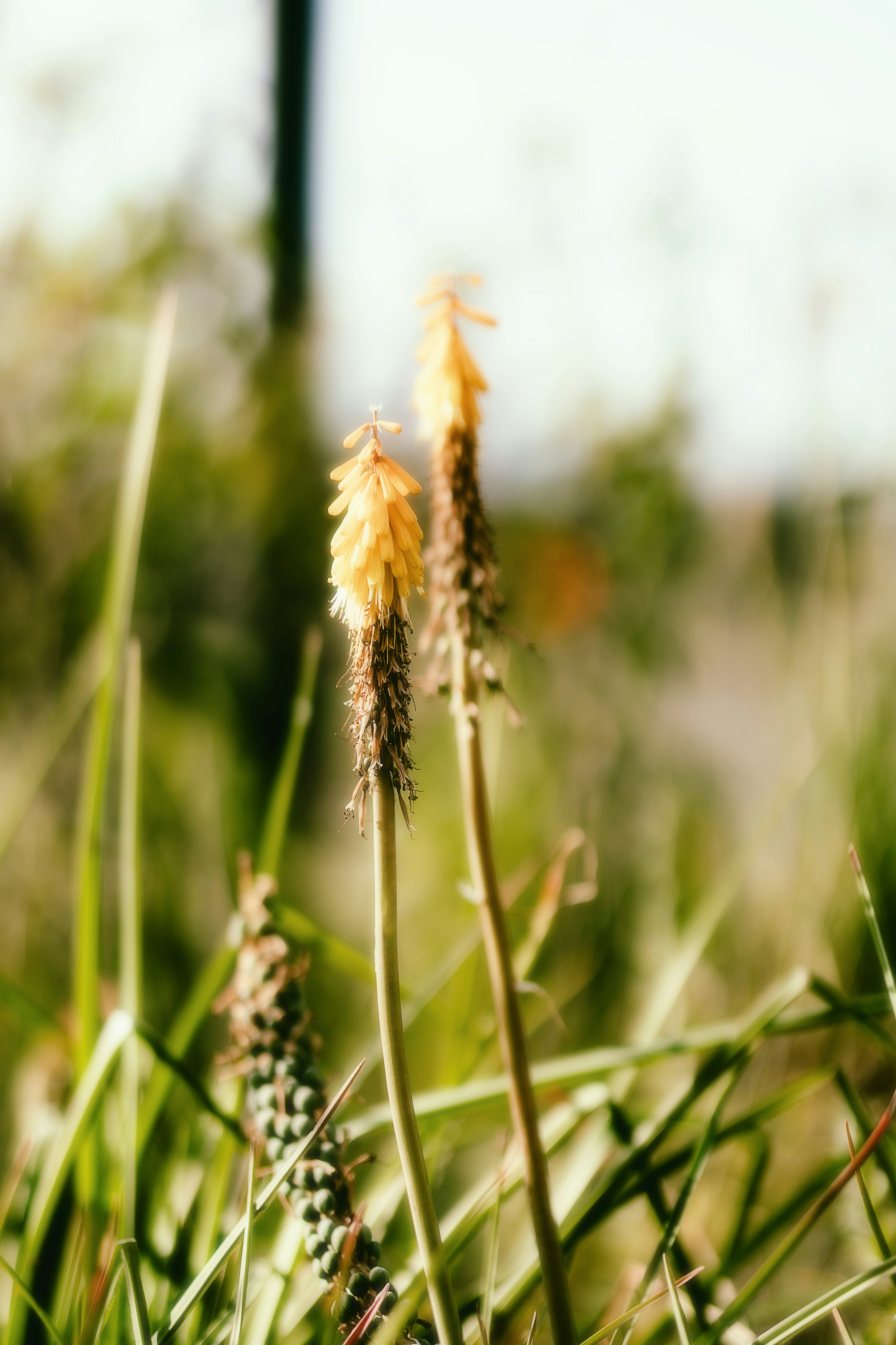 Photo by alingavriliuc