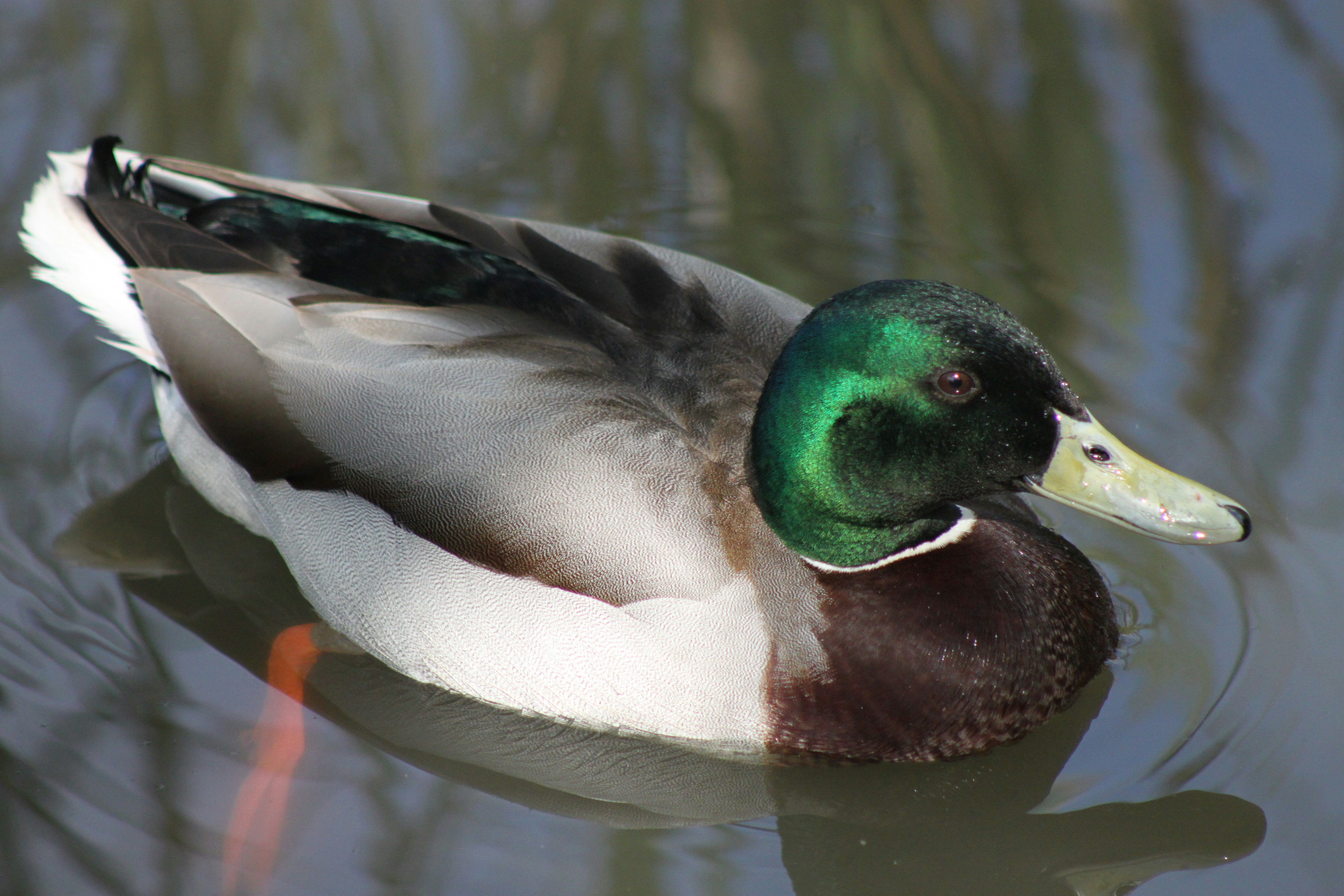 Photo by rubyphotography