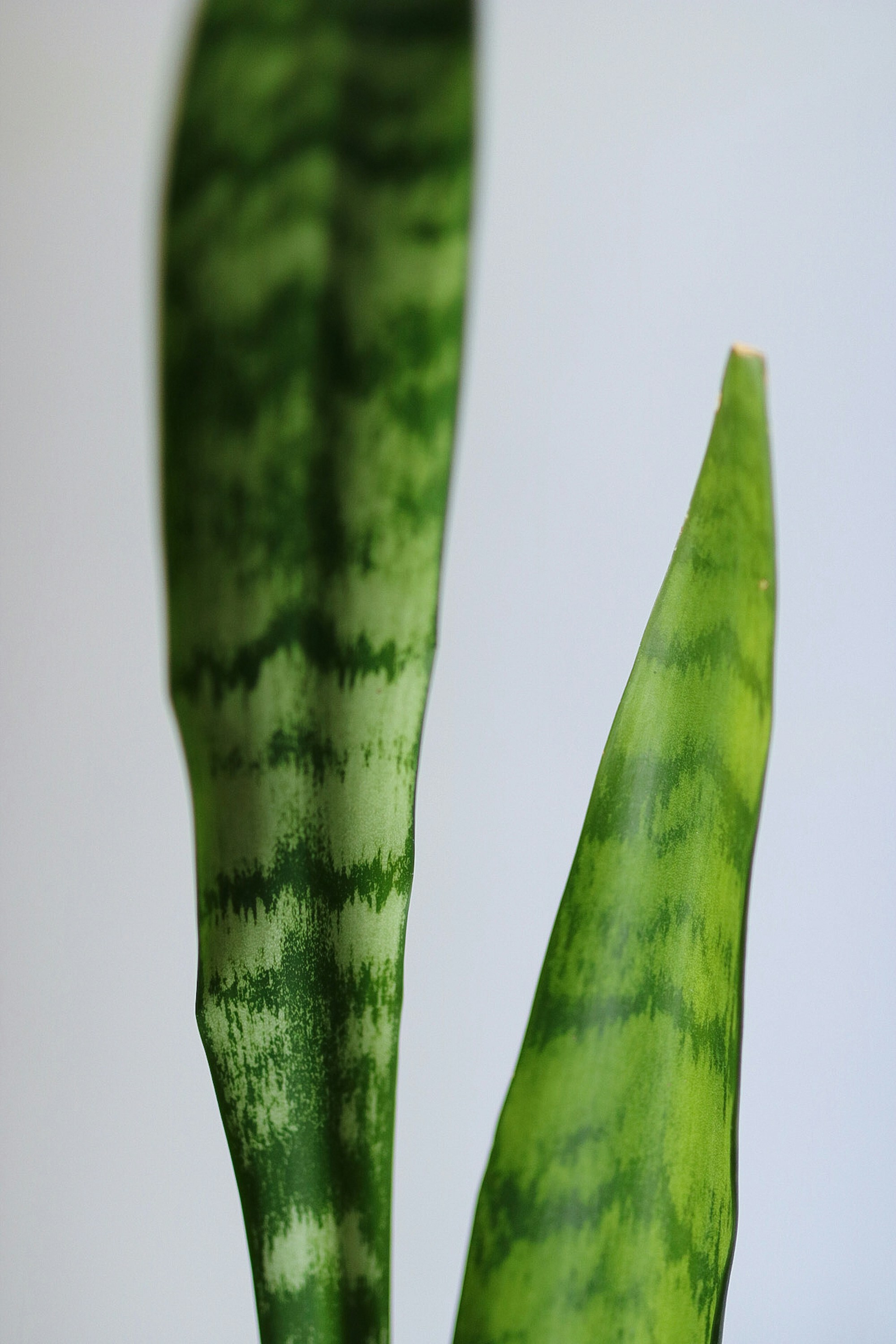 Photo by ashleycanaday